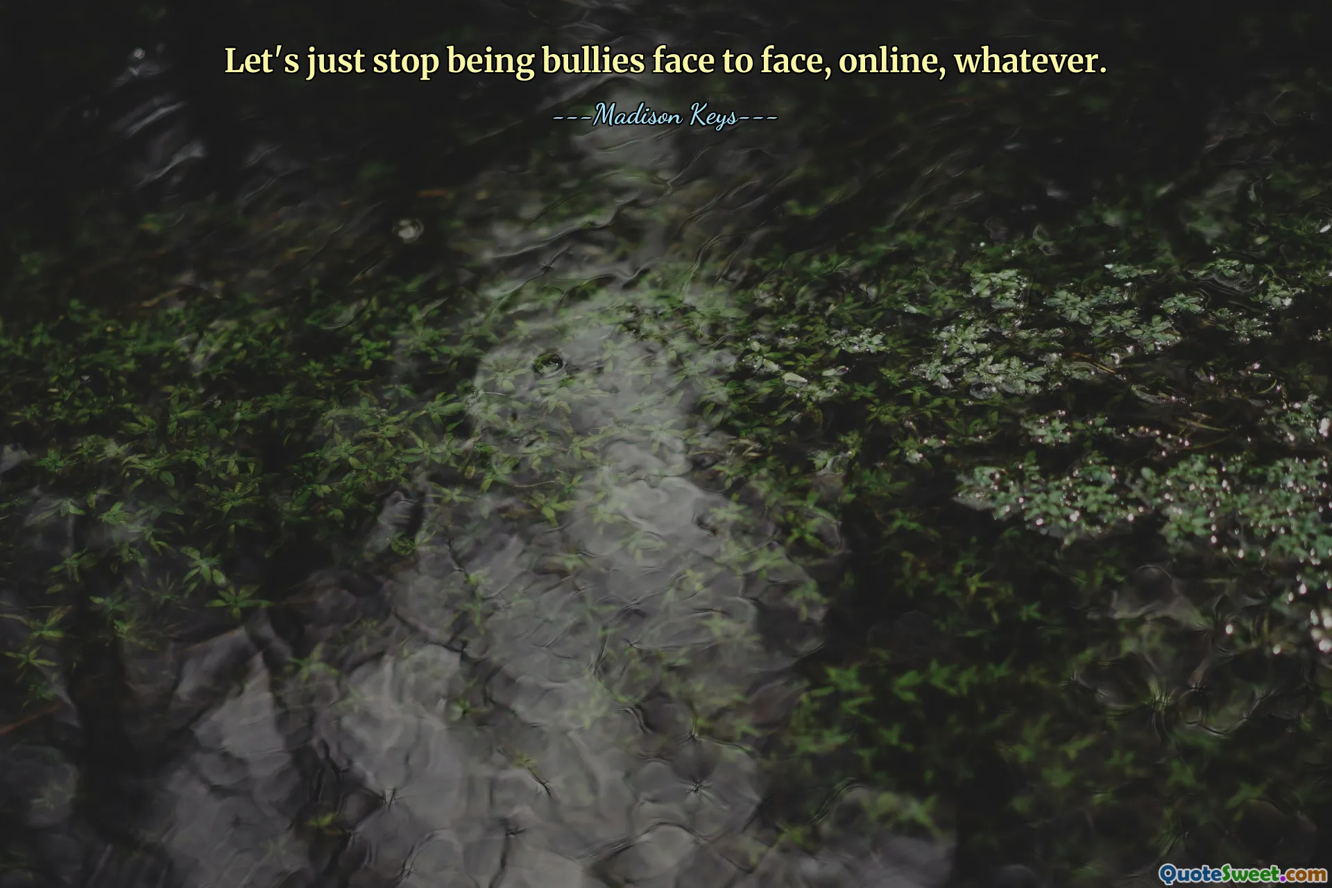 Let's just stop being bullies face to face, online, whatever.