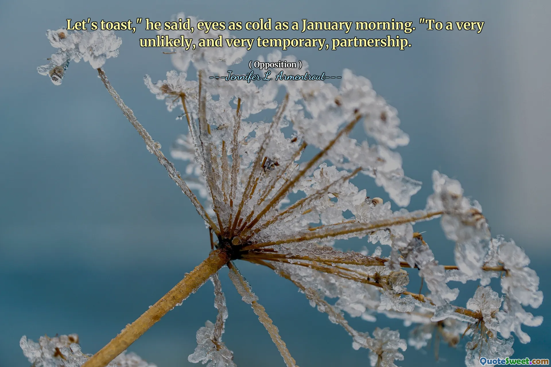 Let's toast," he said, eyes as cold as a January morning. "To a very unlikely, and very temporary, partnership.