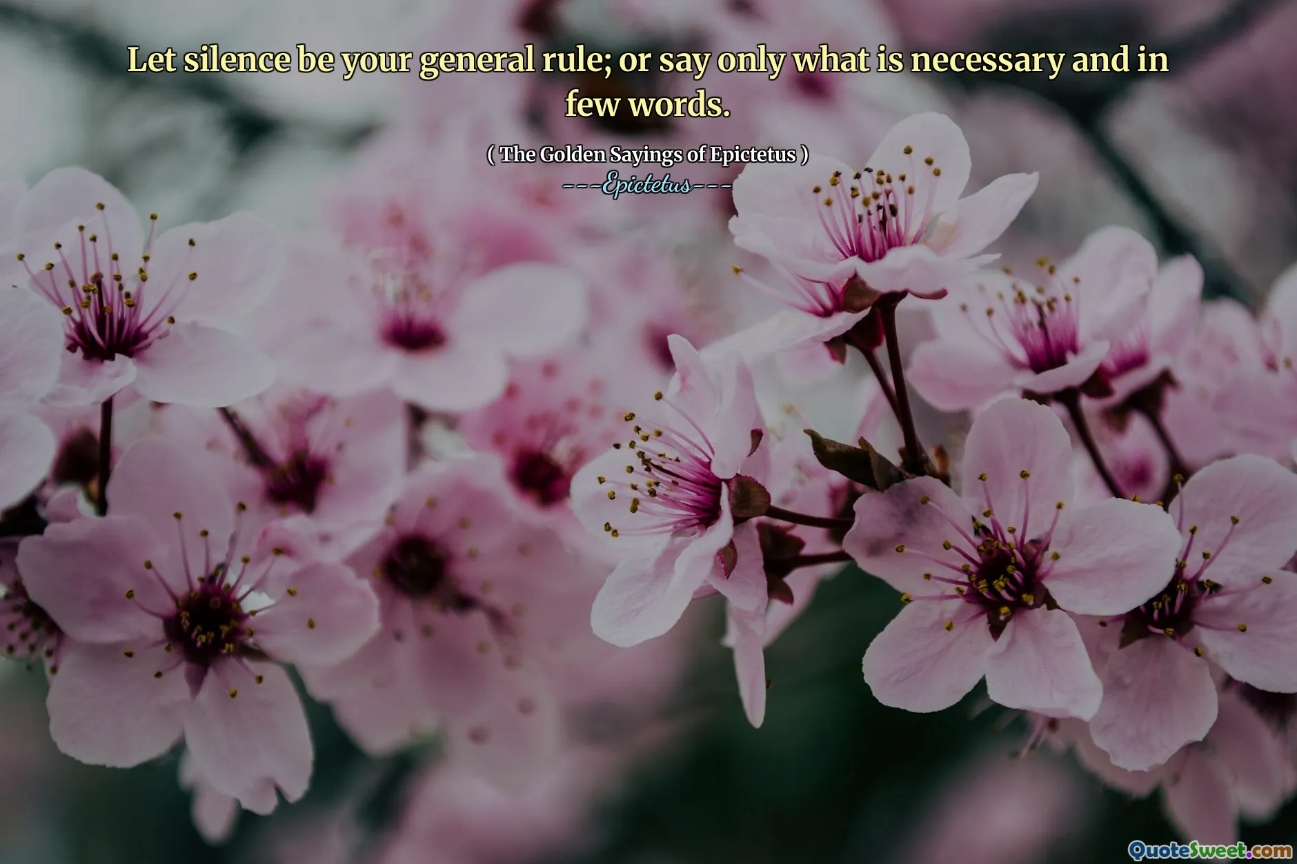 Lascia che il silenzio sia la tua regola generale; o dire solo ciò che è necessario e in poche parole.