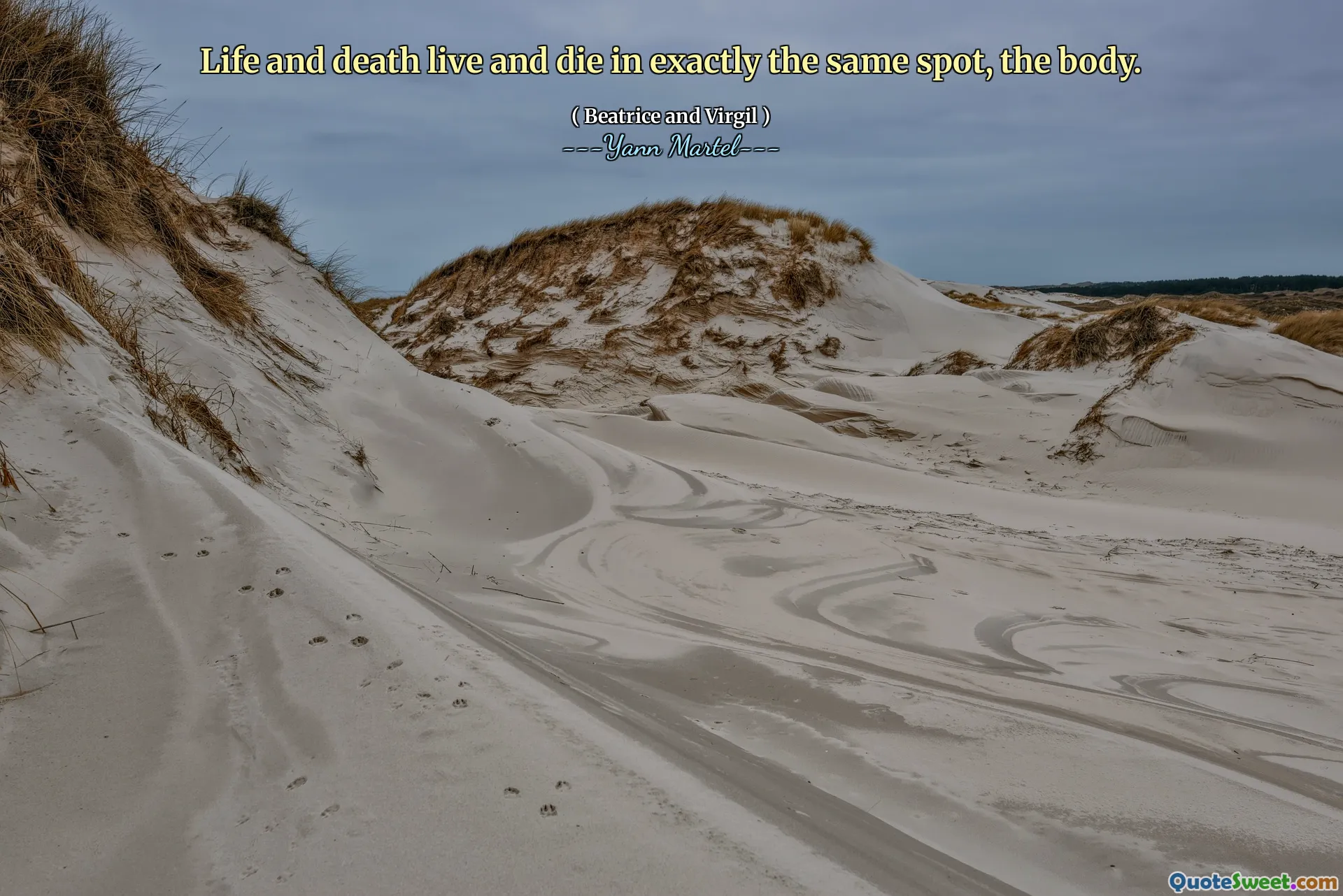 Life and death live and die in exactly the same spot, the body.