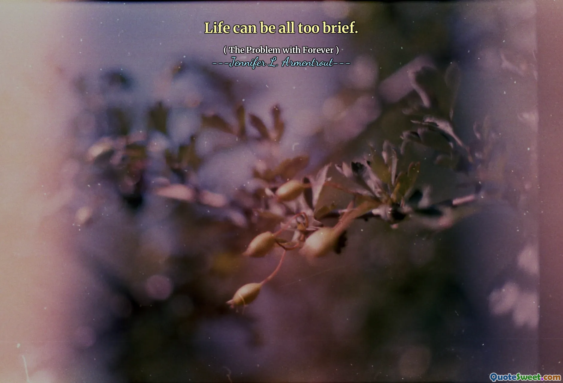 Life can be all too brief.