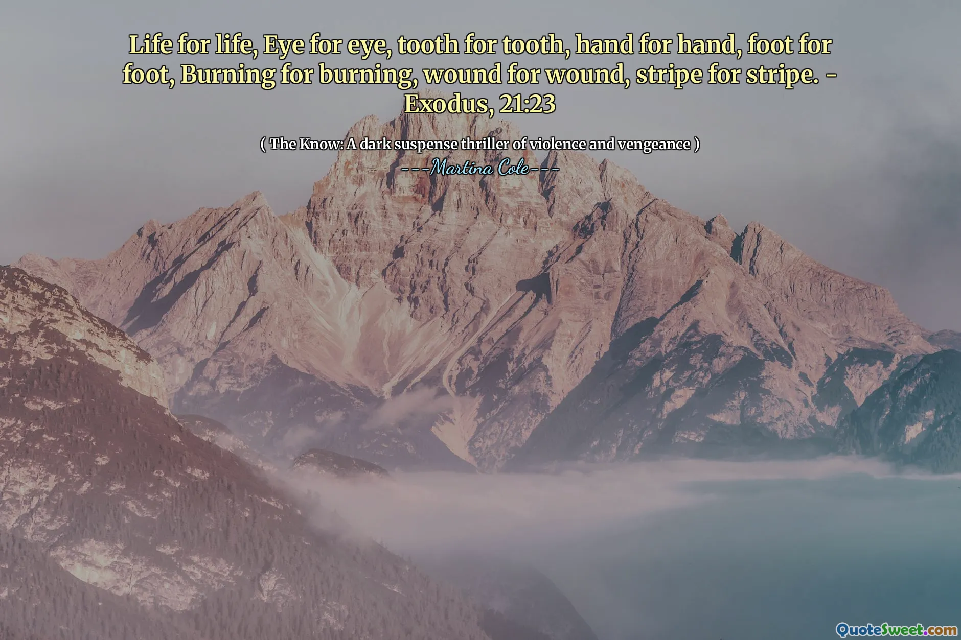 Viața pentru viață, ochi pentru ochi, dinți pentru dinți, mână pentru mână, picior pentru picior, arsuri pentru ardere, rană pentru rană, dungi pentru dungi. - Exod, 21:23