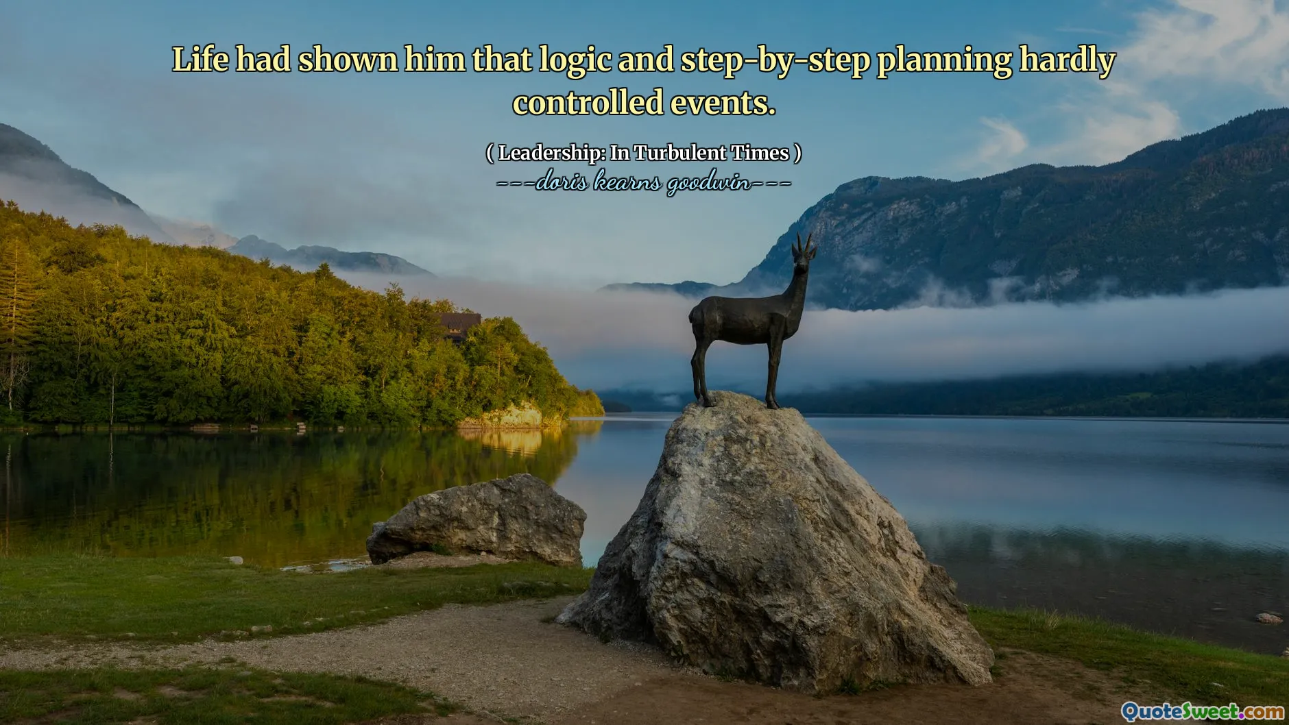 Life had shown him that logic and step-by-step planning hardly controlled events.