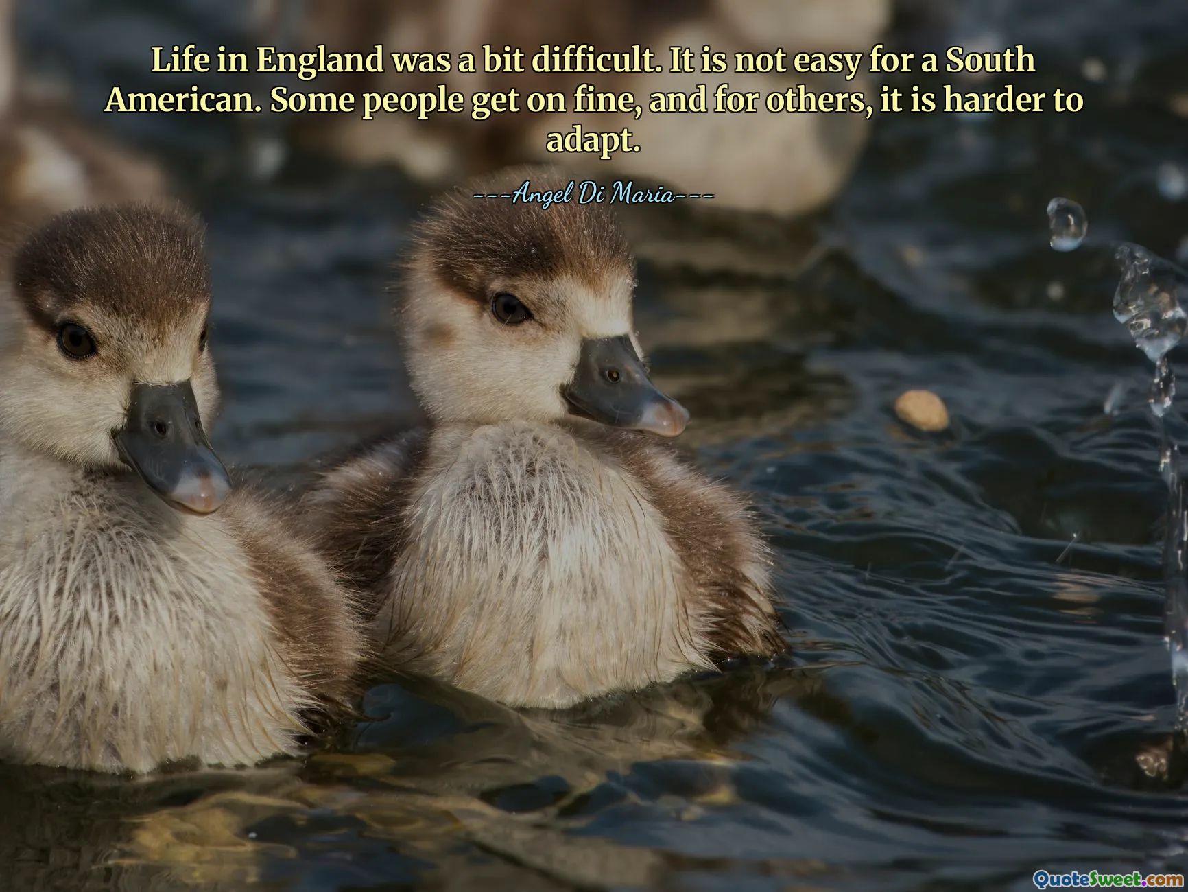 Life in England was a bit difficult. It is not easy for a South American. Some people get on fine, and for others, it is harder to adapt.