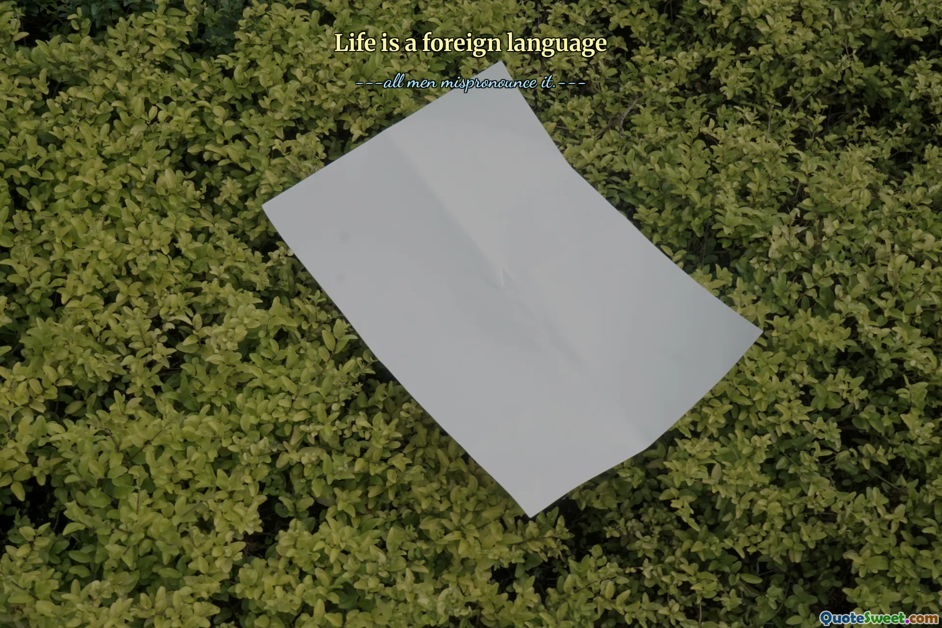 Life is a foreign language