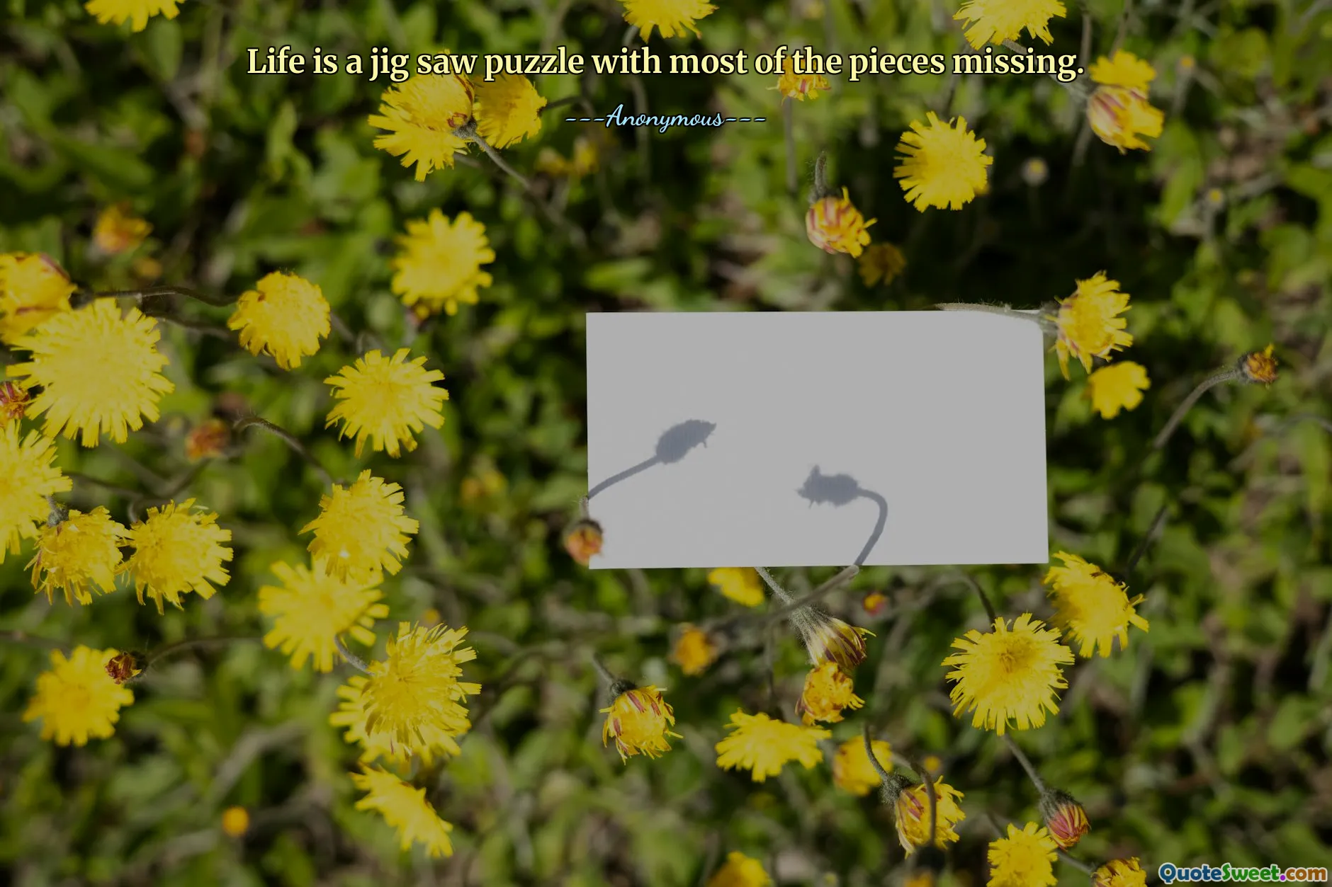 Life is a jig saw puzzle with most of the pieces missing.