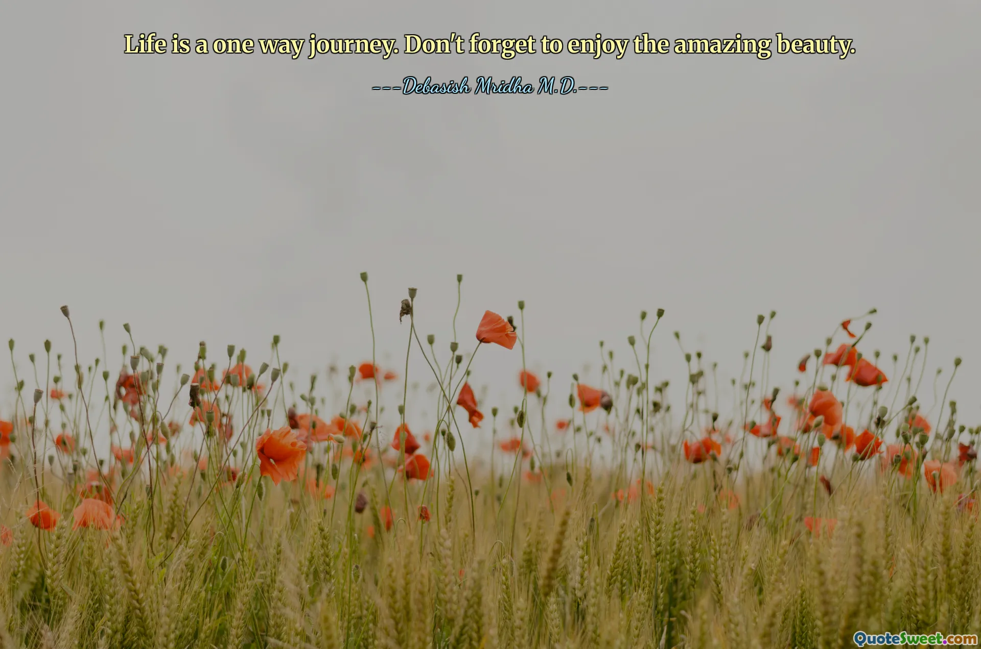 Life is a one way journey. Don't forget to enjoy the amazing beauty.