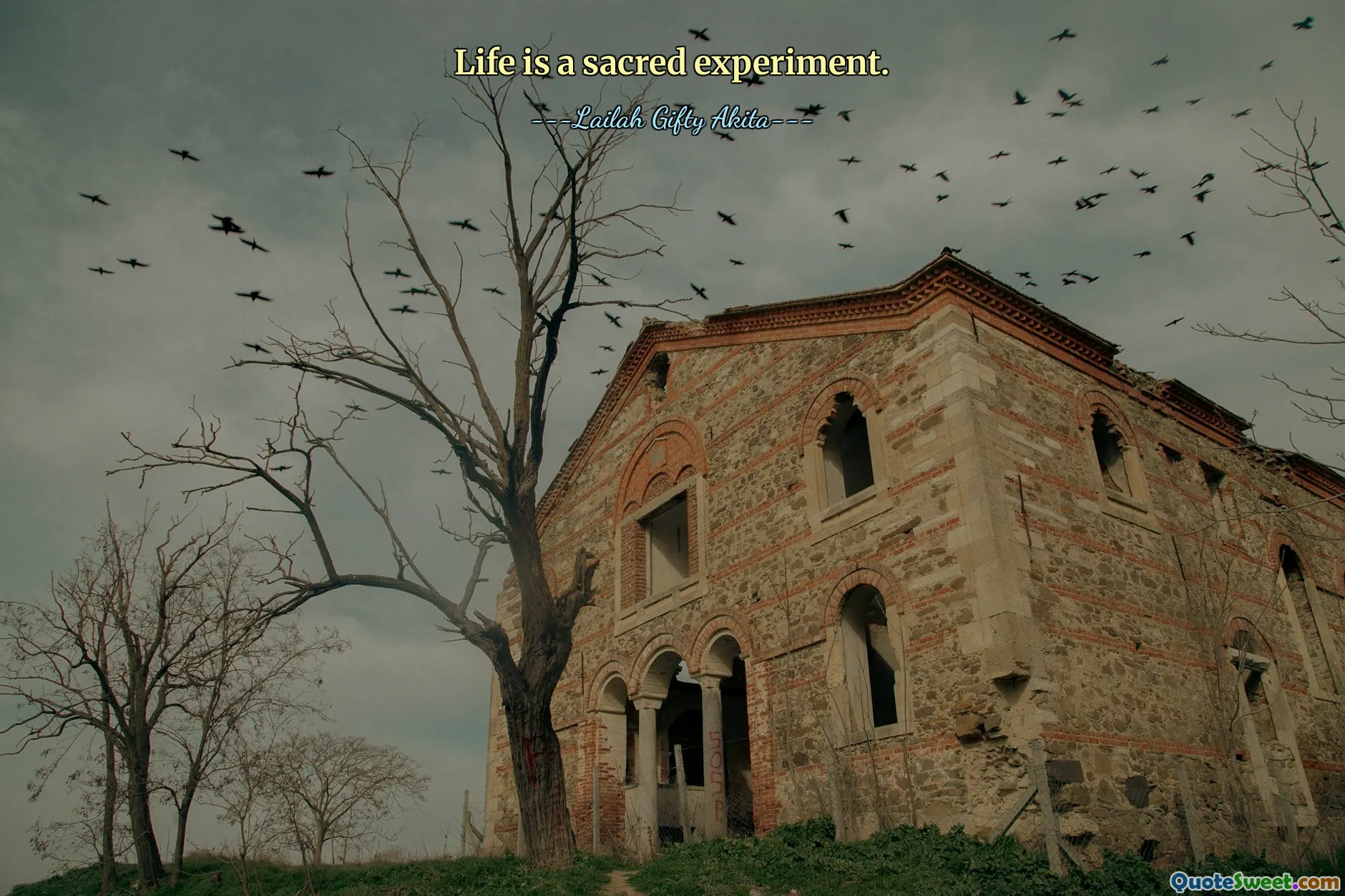 Life is a sacred experiment.