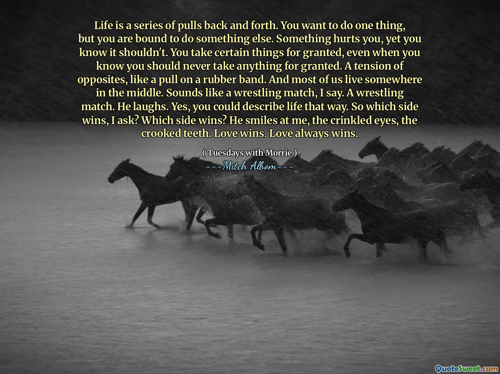 Das Leben ist eine Reihe von Hin- und Herbewegungen. Sie möchten eine Sache tun, müssen aber zwangsläufig etwas anderes tun. Etwas tut dir weh, aber du weißt, dass es das nicht tun sollte. Sie halten bestimmte Dinge für selbstverständlich, auch wenn Sie wissen, dass Sie niemals etwas für selbstverständlich halten sollten. Eine Spannung der Gegensätze, wie ein Zug an einem Gummiband. Und die meisten von uns leben irgendwo in der Mitte.  „Klingt wie ein Ringkampf“, sage ich. Ein Ringkampf. Er lacht. Ja, so könnte man das Leben beschreiben. Welche Seite gewinnt also, frage ich? Welche Seite gewinnt? Er lächelt mich an, die faltigen Augen, die schiefen Zähne. Die Liebe siegt. Die Liebe siegt immer.