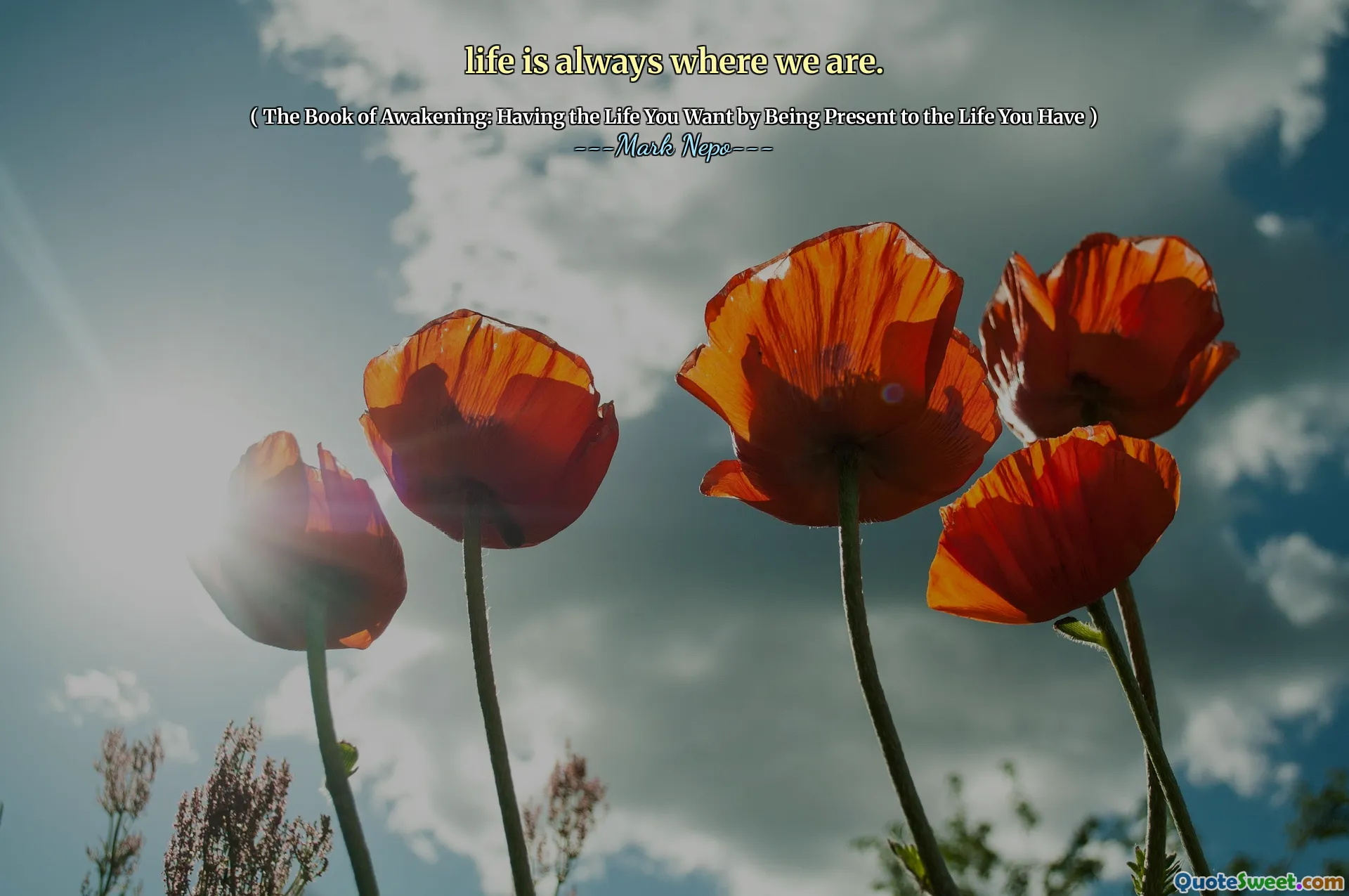 Das Leben ist immer dort, wo wir sind.