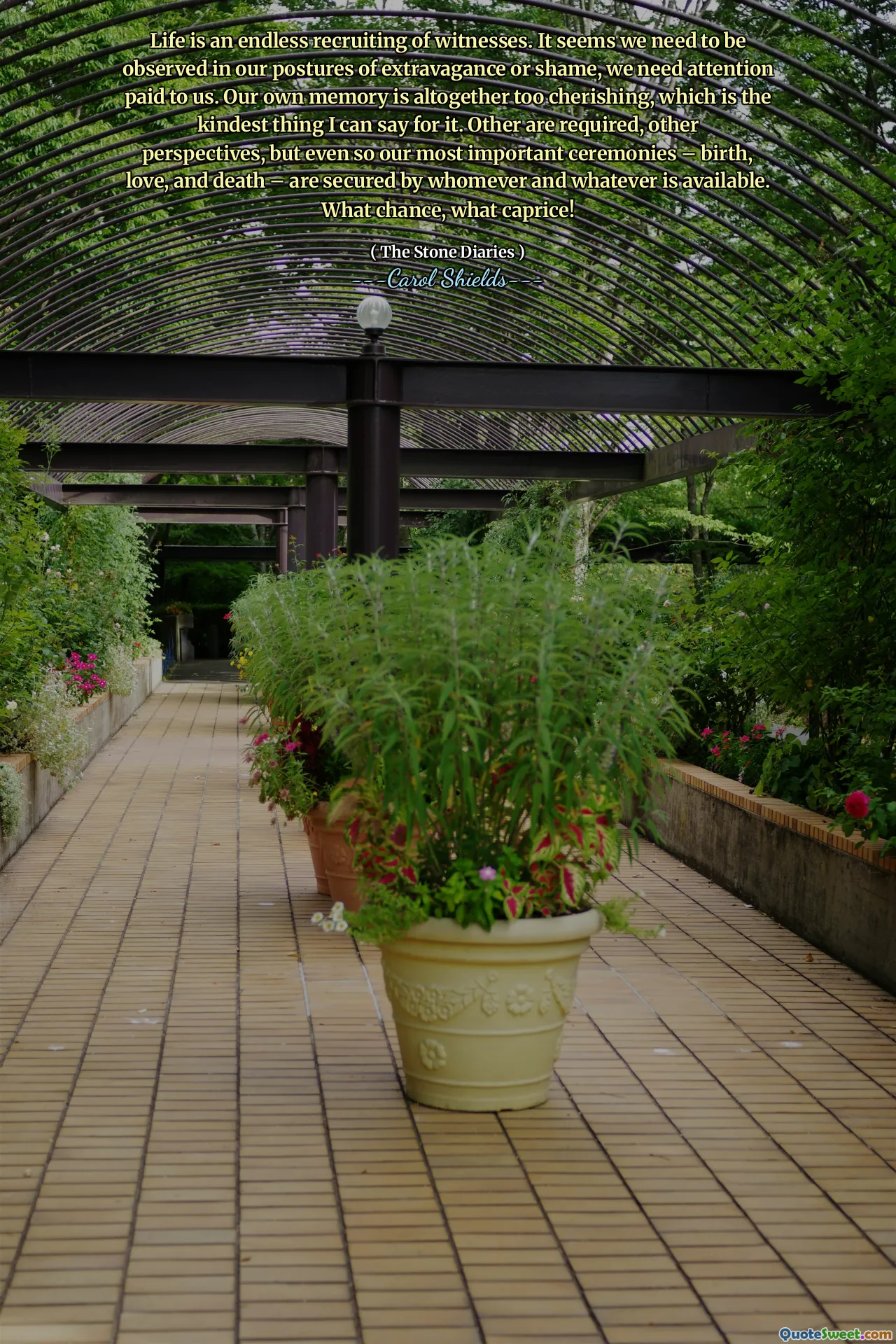 Life is an endless recruiting of witnesses. It seems we need to be observed in our postures of extravagance or shame, we need attention paid to us. Our own memory is altogether too cherishing, which is the kindest thing I can say for it. Other are required, other perspectives, but even so our most important ceremonies – birth, love, and death – are secured by whomever and whatever is available. What chance, what caprice!