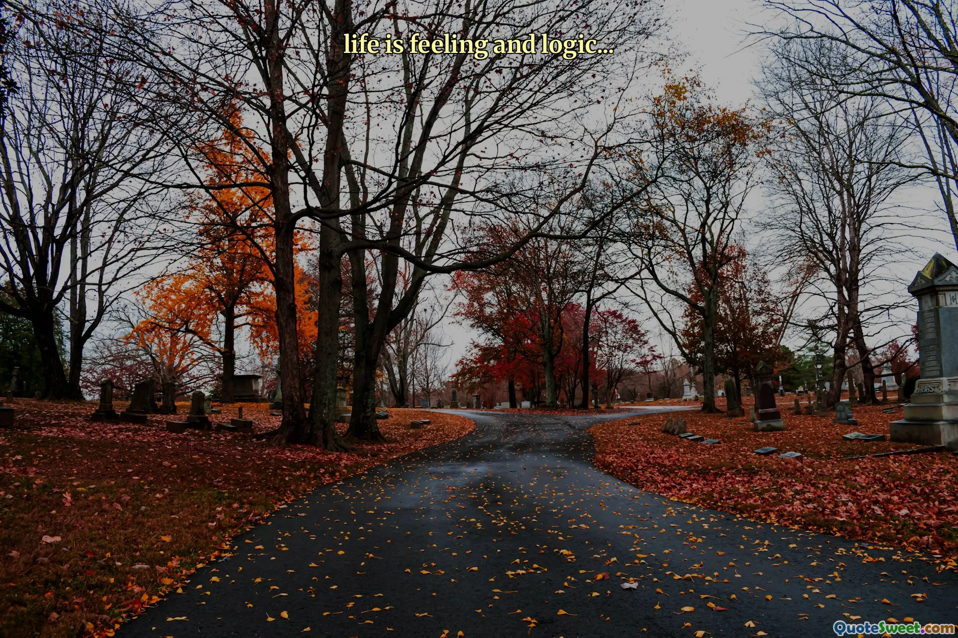 life is feeling and logic...