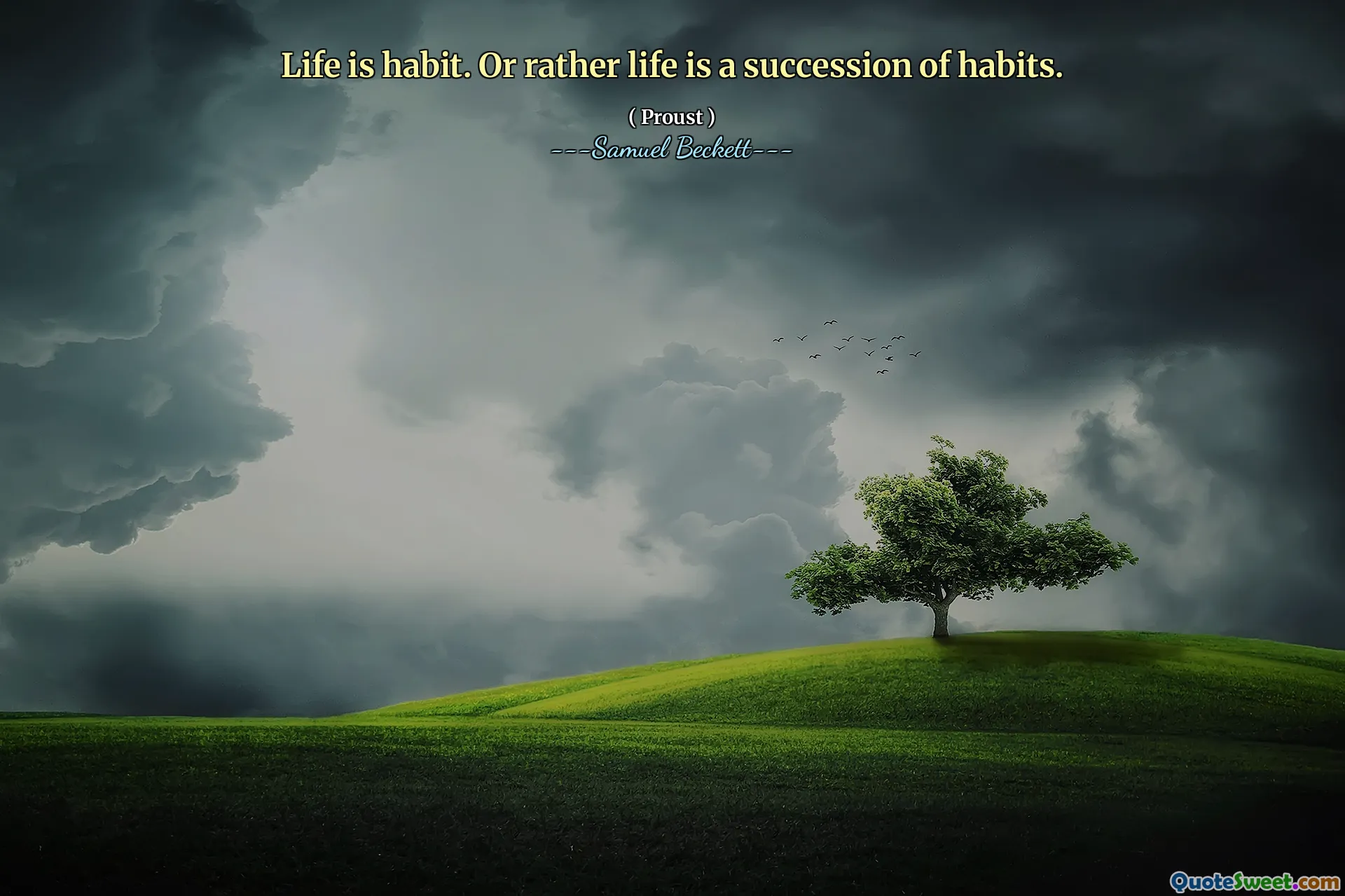 Life is habit. Or rather life is a succession of habits.