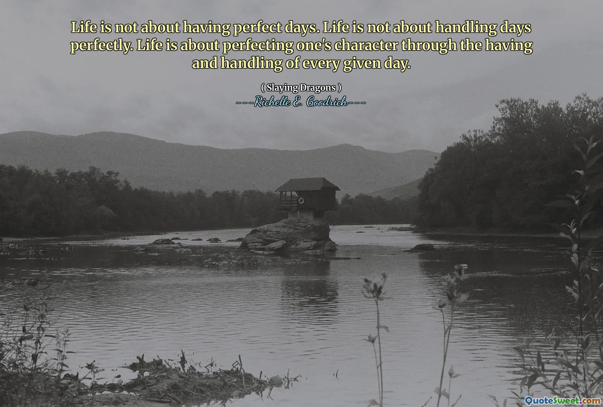 Life is not about having perfect days. Life is not about handling days perfectly. Life is about perfecting one's character through the having and handling of every given day.