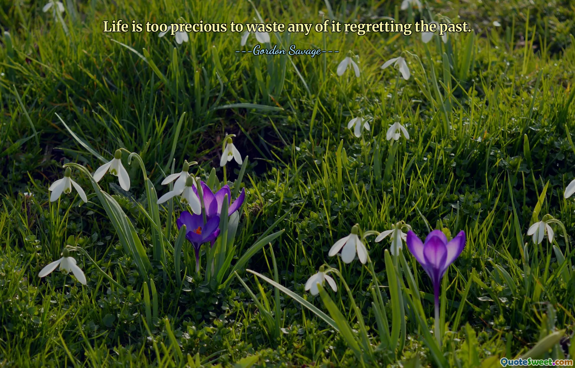 Life is too precious to waste any of it regretting the past.