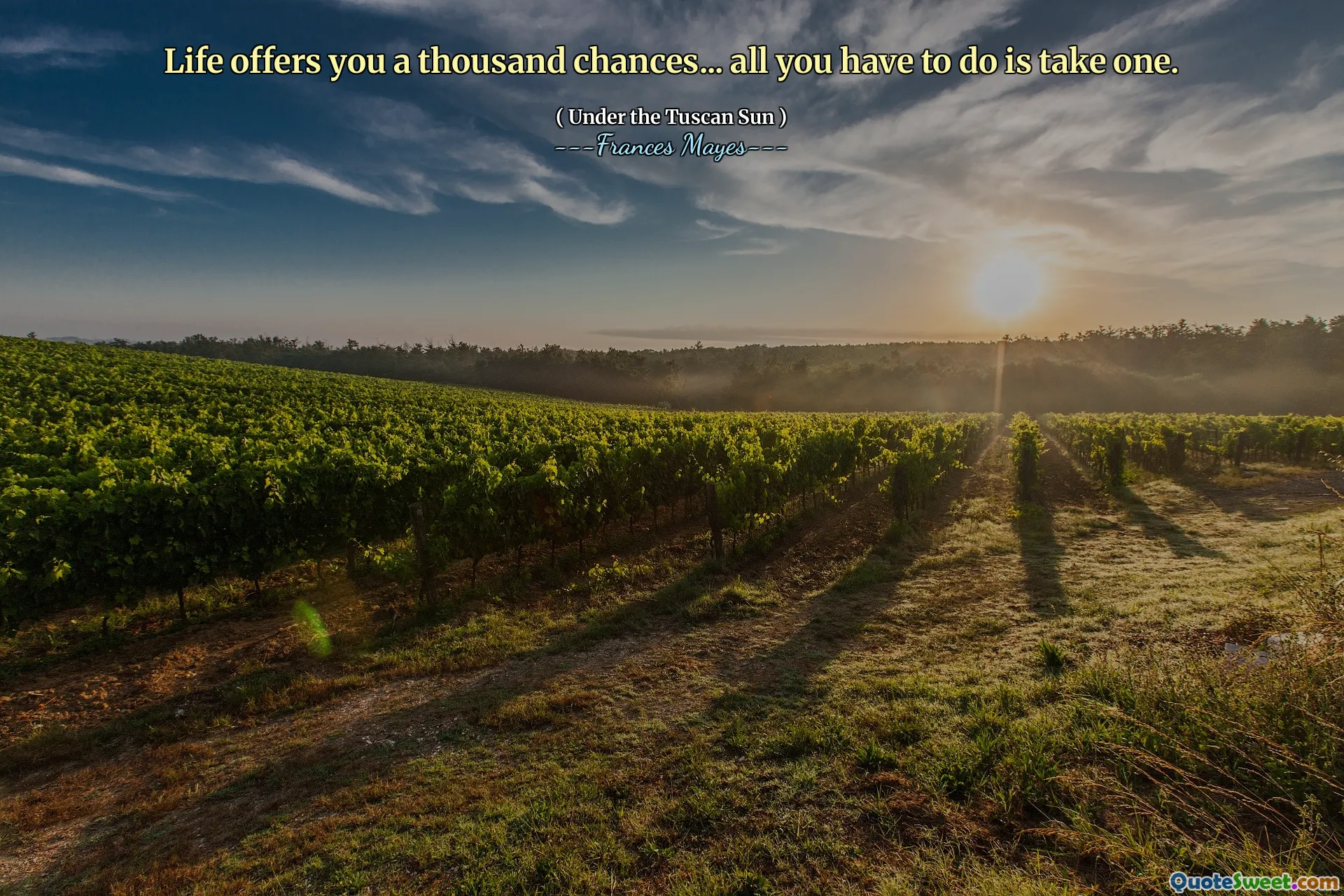 Hidup menawarkan Anda seribu peluang ... yang harus Anda lakukan adalah mengambil satu.