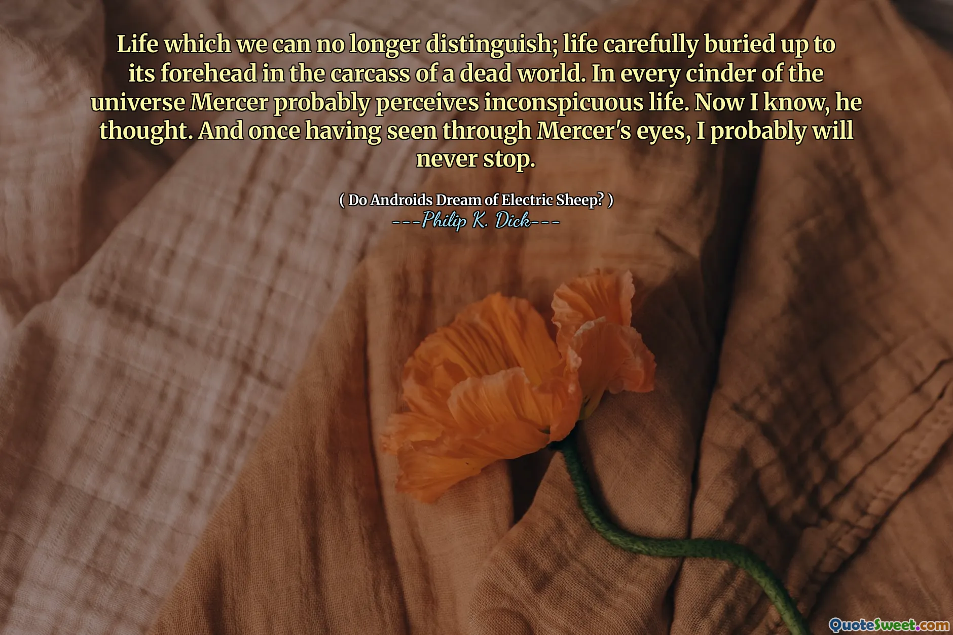 我们再也无法区分的生活；生命小心翼翼地将其埋在一个死去的世界的尸体中。在宇宙的每一个煤渣中，默瑟都可能意识到不起眼的生活。现在我知道，他想。一旦看到了默瑟的眼睛，我可能永远不会停止。