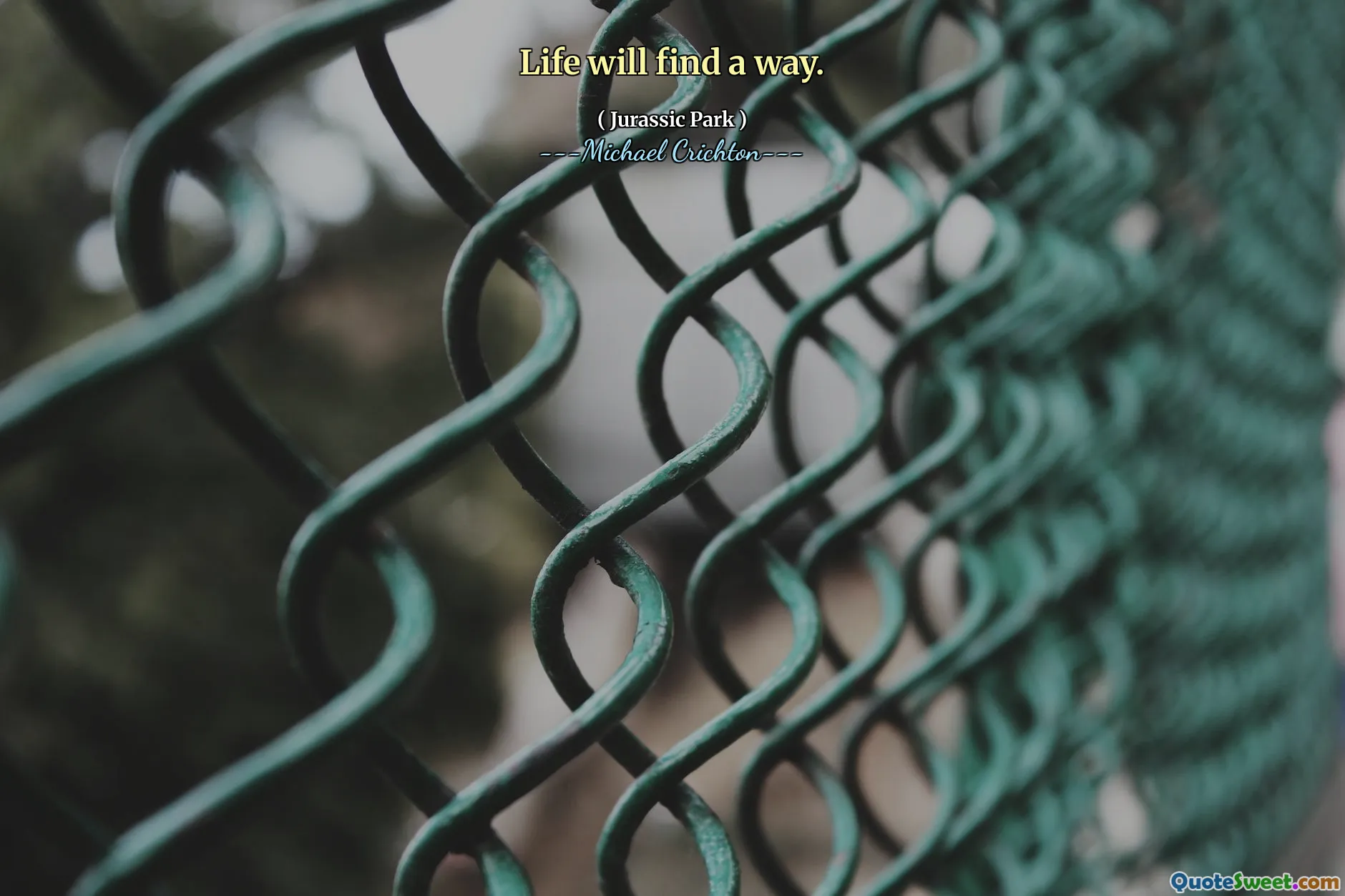 生活会找到一种方法。