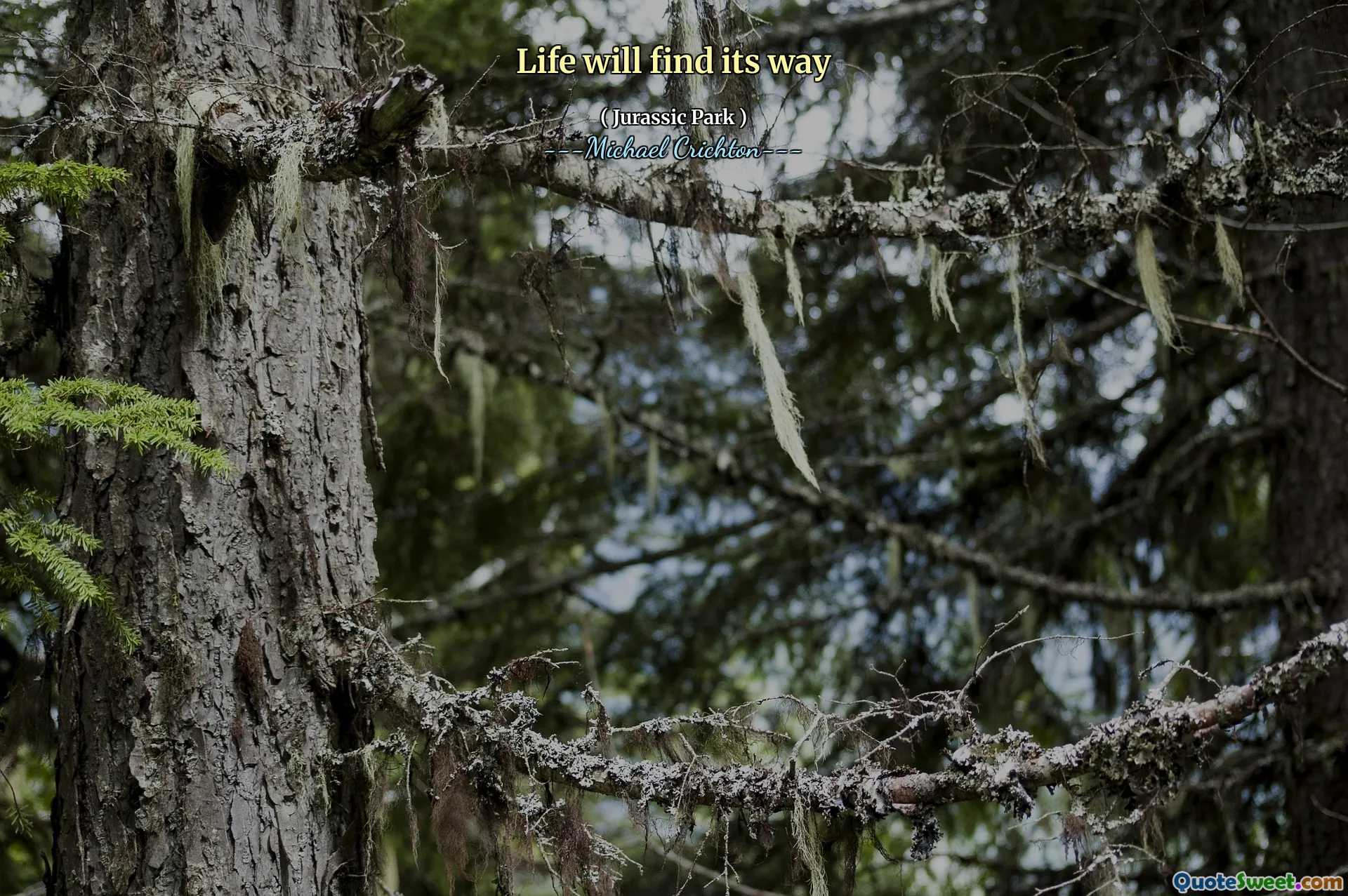 生活会找到自己的路