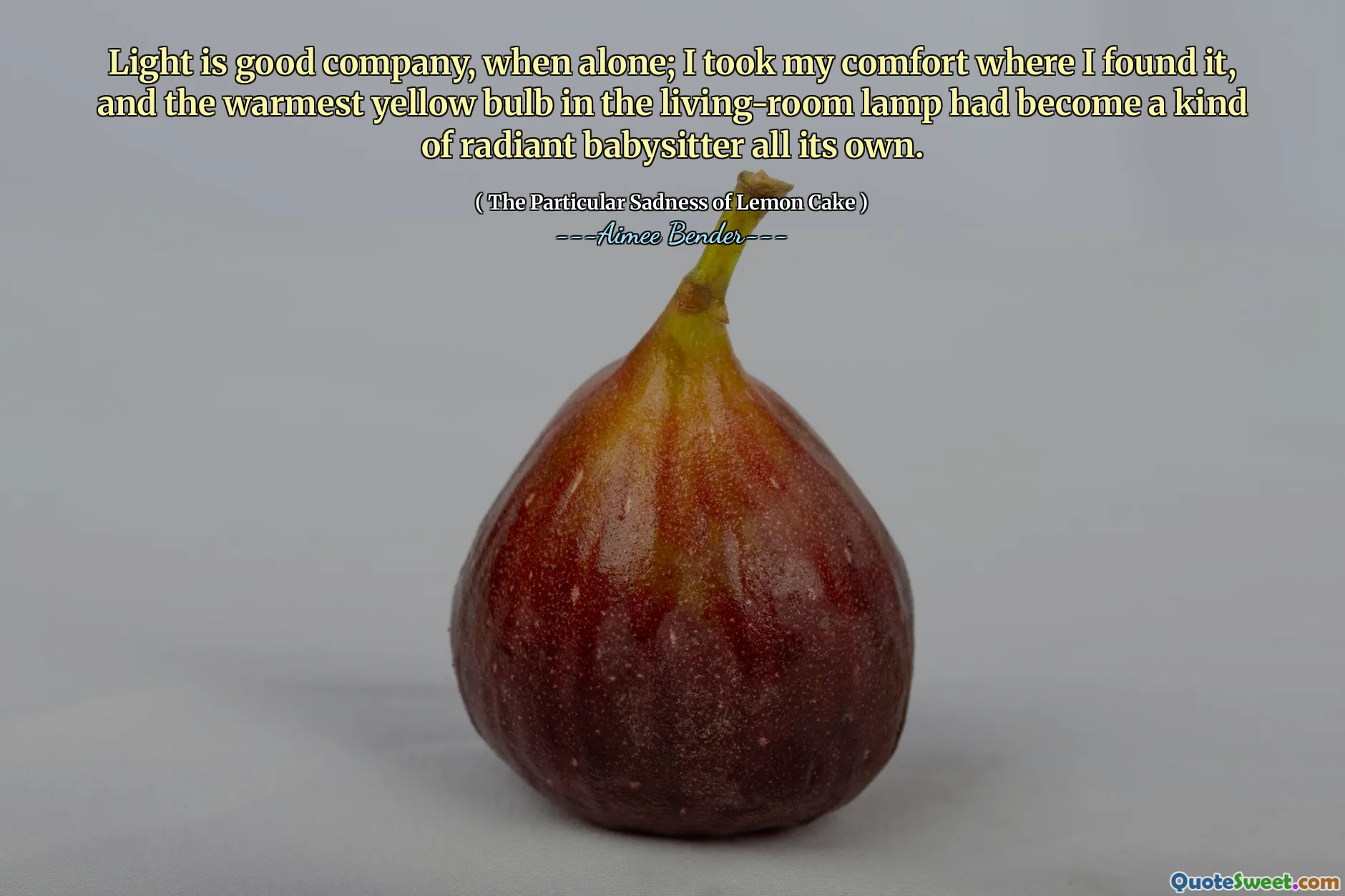 Ánh sáng là công ty tốt, khi một mình; Tôi đã thoải mái, nơi tôi tìm thấy nó, và bóng đèn màu vàng ấm nhất trong đèn phòng khách đã trở thành một loại người giữ trẻ rạng rỡ của riêng nó.