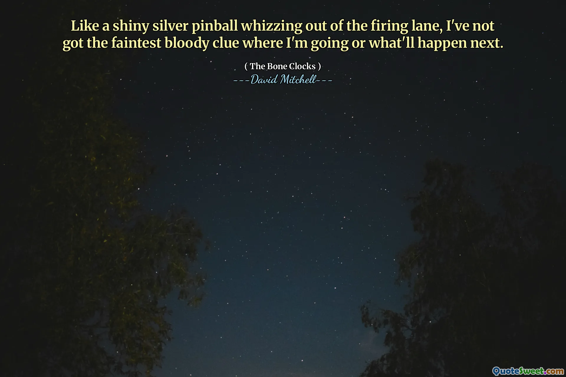 Like a shiny silver pinball whizzing out of the firing lane, I've not got the faintest bloody clue where I'm going or what'll happen next.