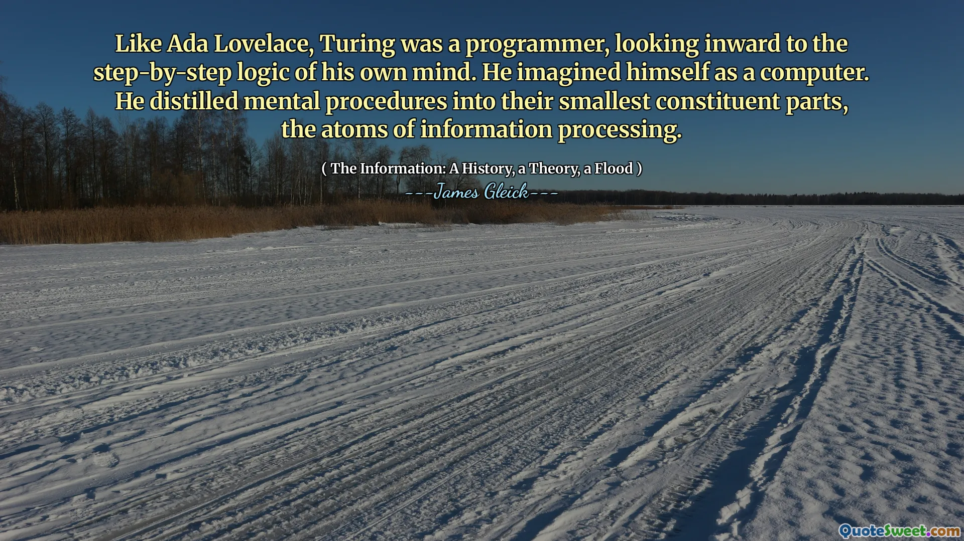 Like Ada Lovelace, Turing was a programmer, looking inward to the step-by-step logic of his own mind. He imagined himself as a computer. He distilled mental procedures into their smallest constituent parts, the atoms of information processing.