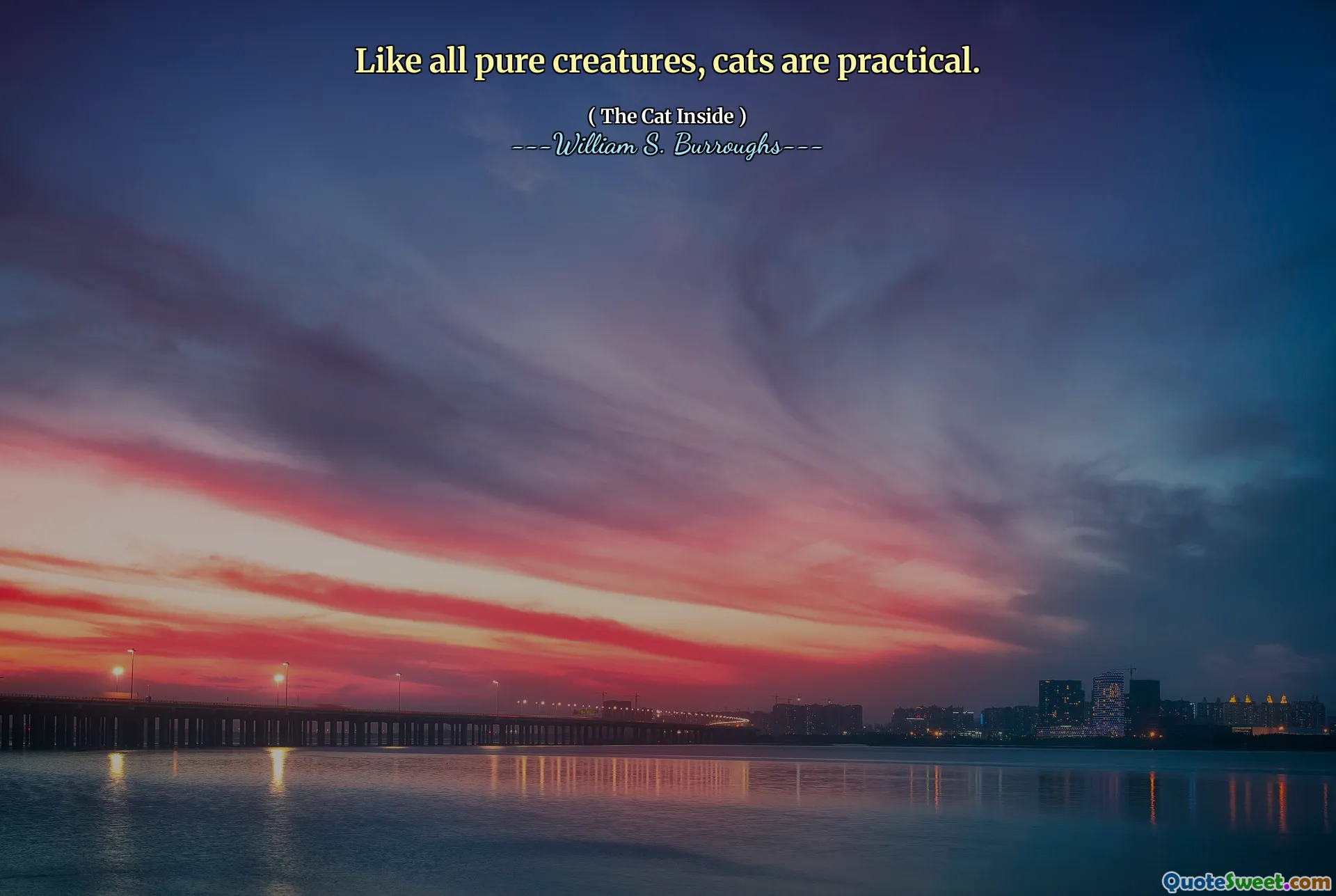 Wie alle reinen Kreaturen sind Katzen praktisch.