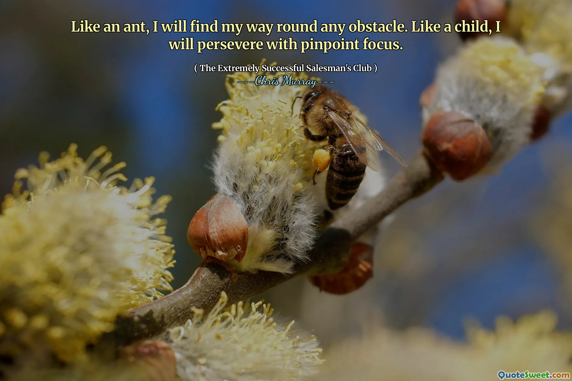 Liksom en myra kommer jag att hitta mig runt alla hinder. Som ett barn kommer jag att fortsätta med Pinpoint -fokus.