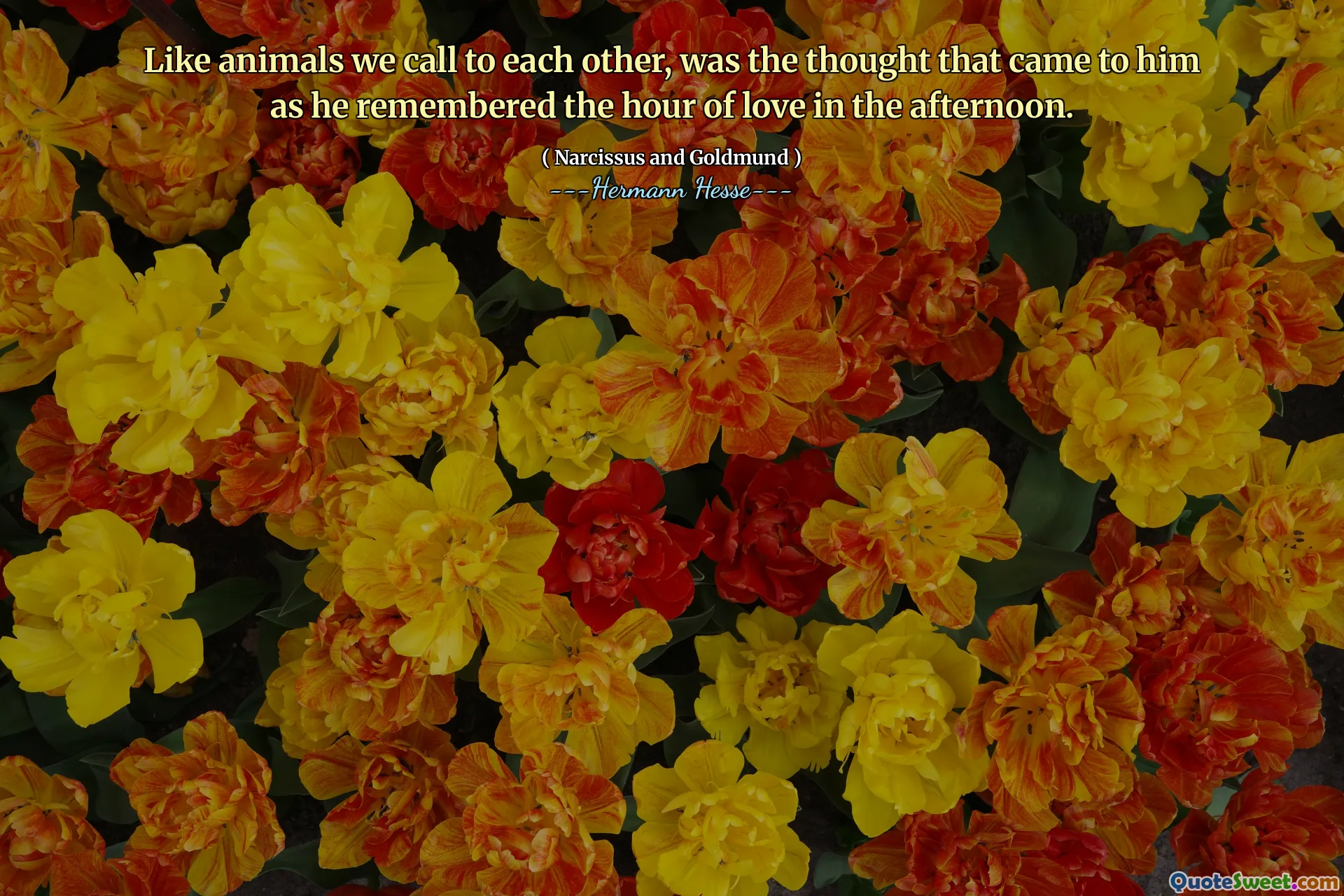Like animals we call to each other, was the thought that came to him as he remembered the hour of love in the afternoon.