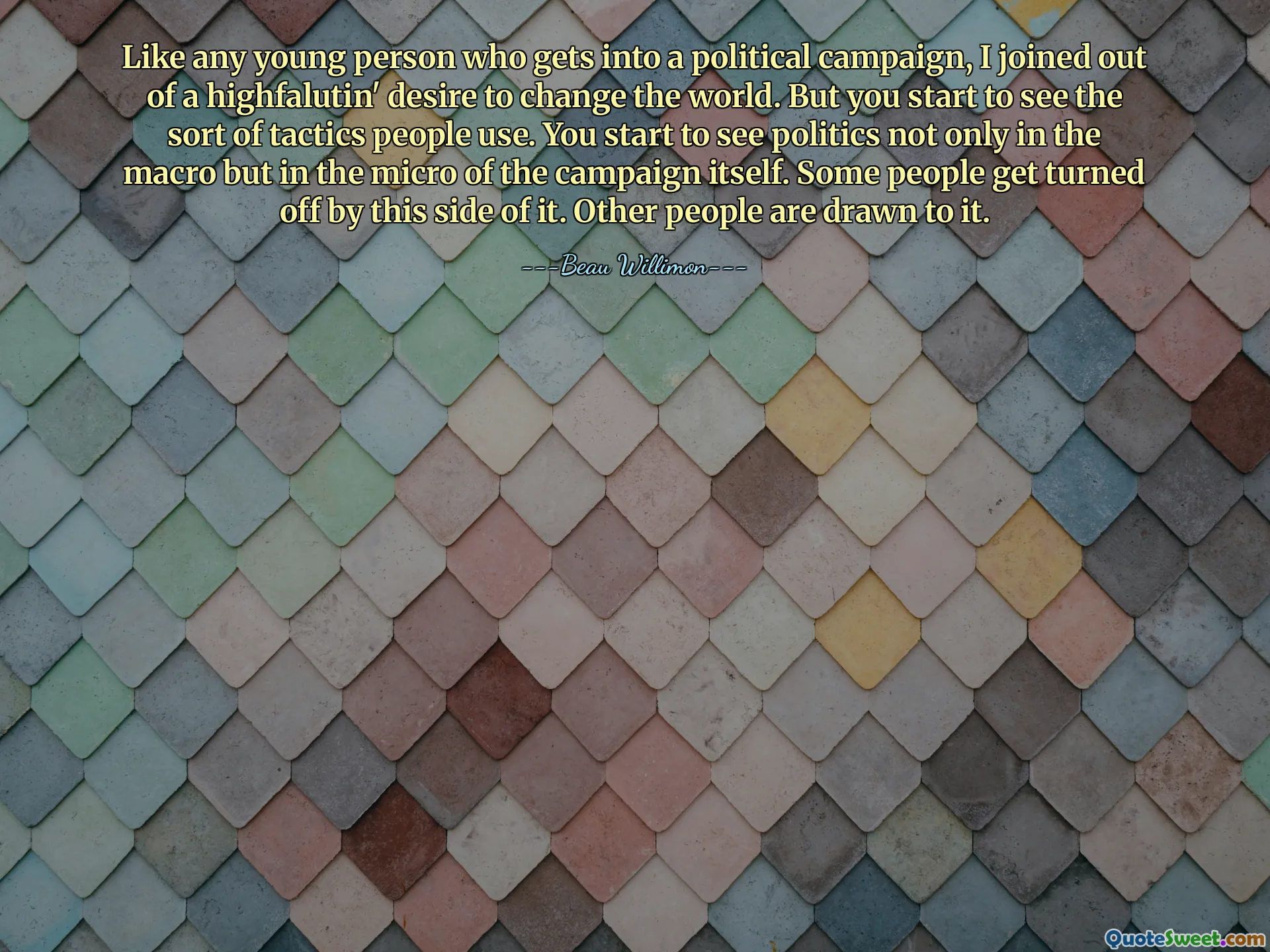 Like any young person who gets into a political campaign, I joined out of a highfalutin' desire to change the world. But you start to see the sort of tactics people use. You start to see politics not only in the macro but in the micro of the campaign itself. Some people get turned off by this side of it. Other people are drawn to it.