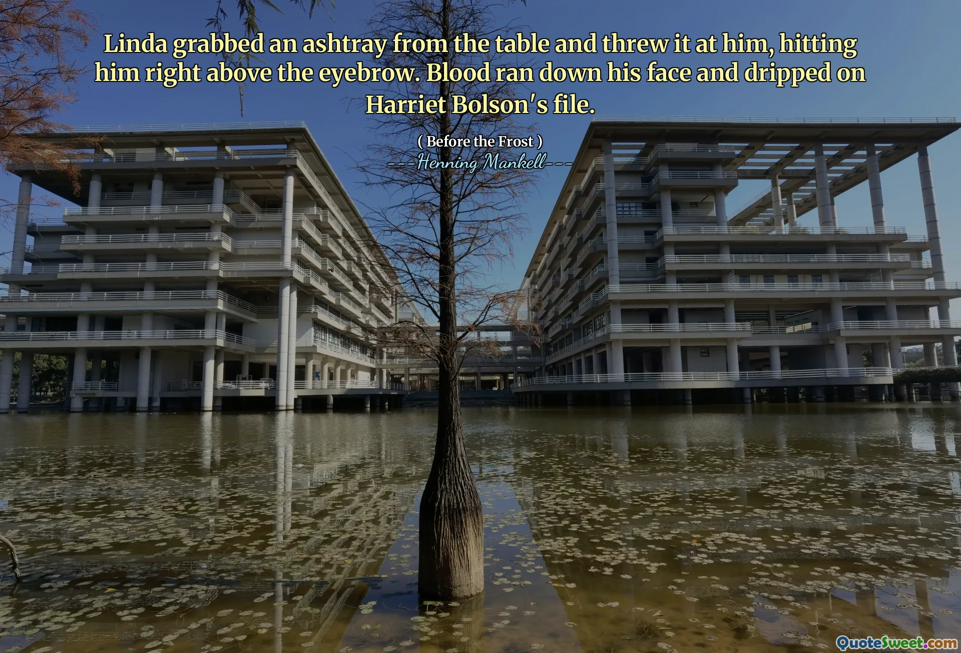 Linda grabbed an ashtray from the table and threw it at him, hitting him right above the eyebrow. Blood ran down his face and dripped on Harriet Bolson's file.