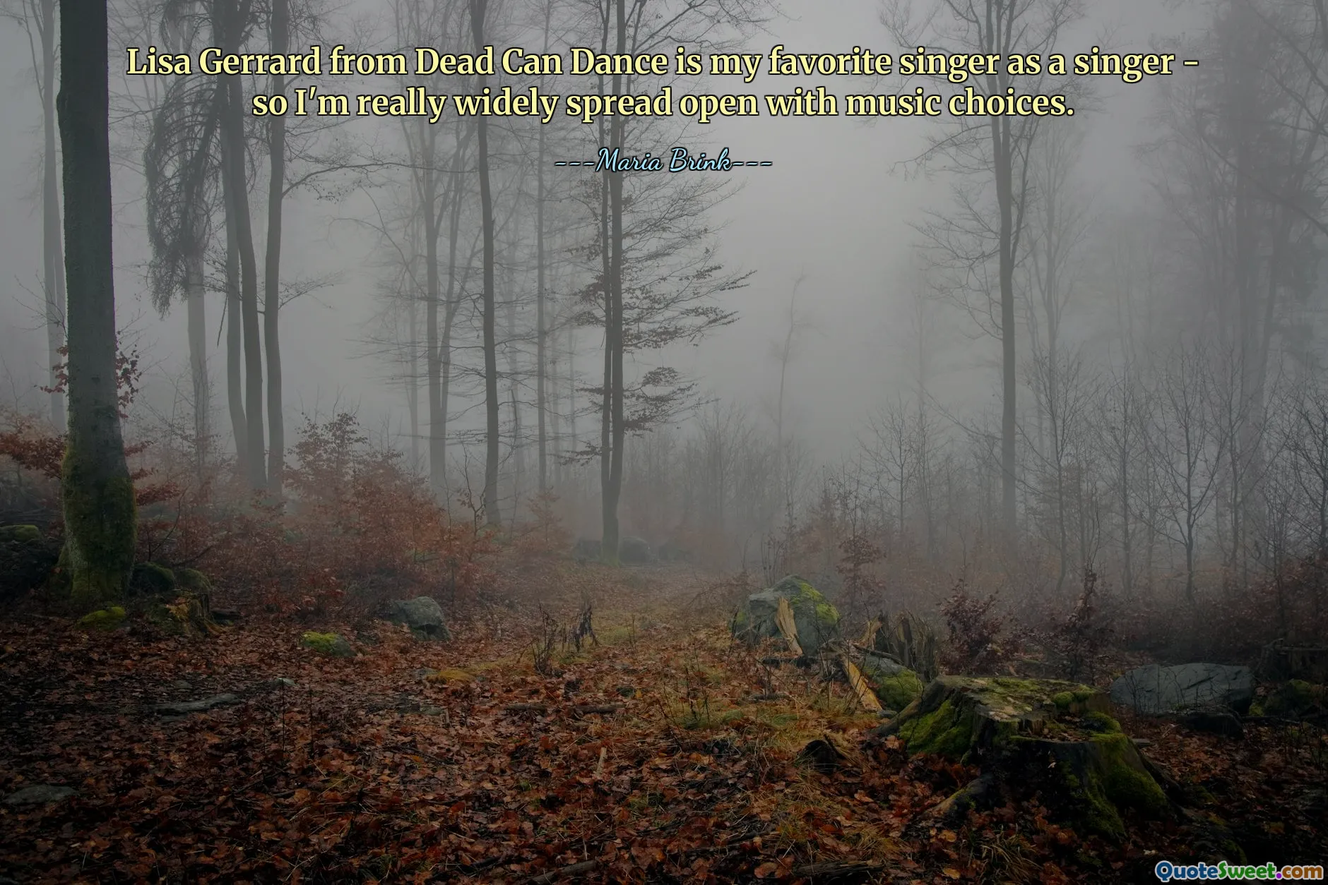 Lisa Gerrard from Dead Can Dance is my favorite singer as a singer - so I'm really widely spread open with music choices.