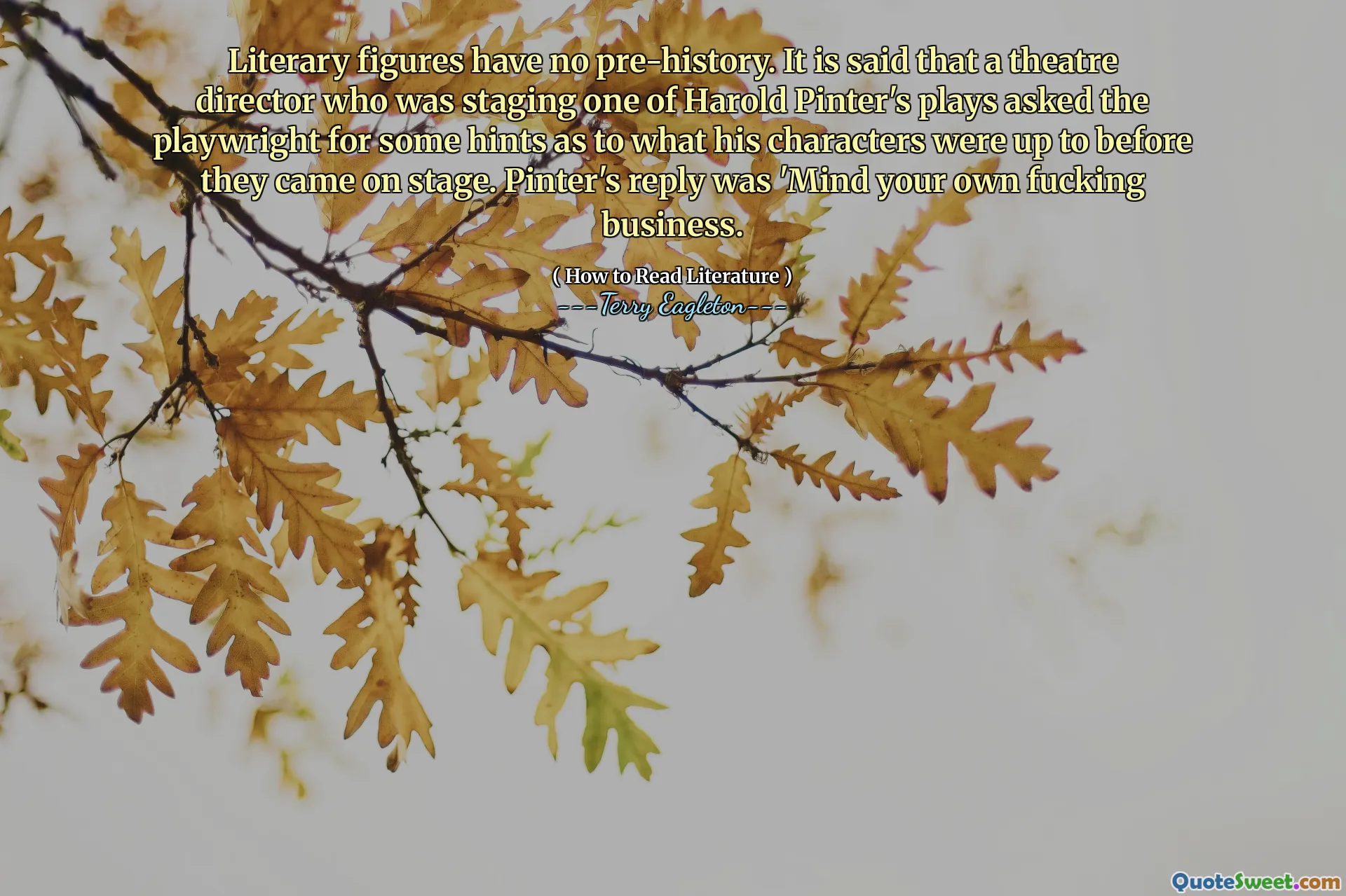 Literary figures have no pre-history. It is said that a theatre director who was staging one of Harold Pinter's plays asked the playwright for some hints as to what his characters were up to before they came on stage. Pinter's reply was 'Mind your own fucking business.