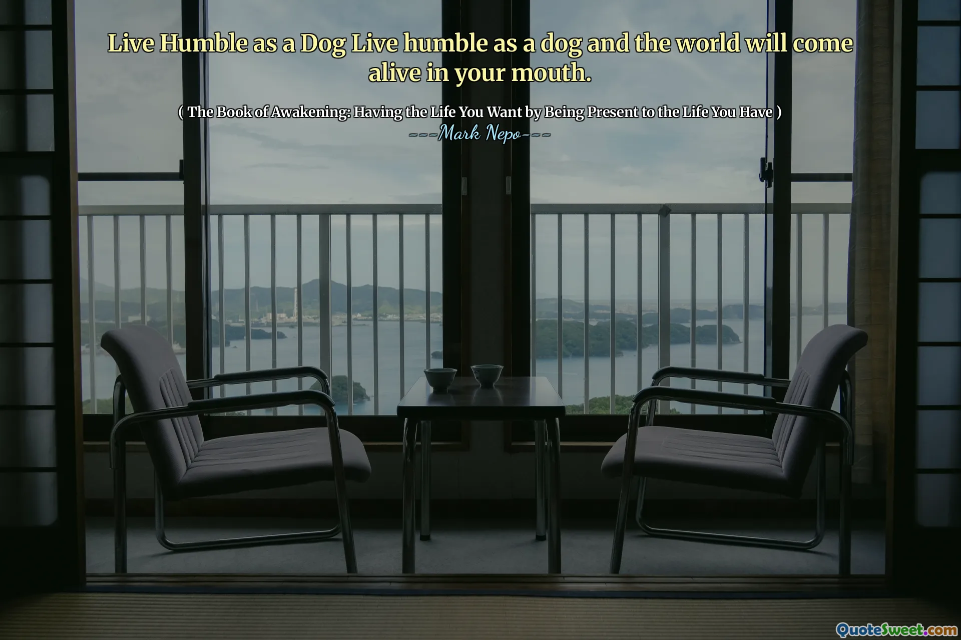عش المتواضعين ككلب يعيش متواضعًا ككلب وسيأتي العالم في فمك.