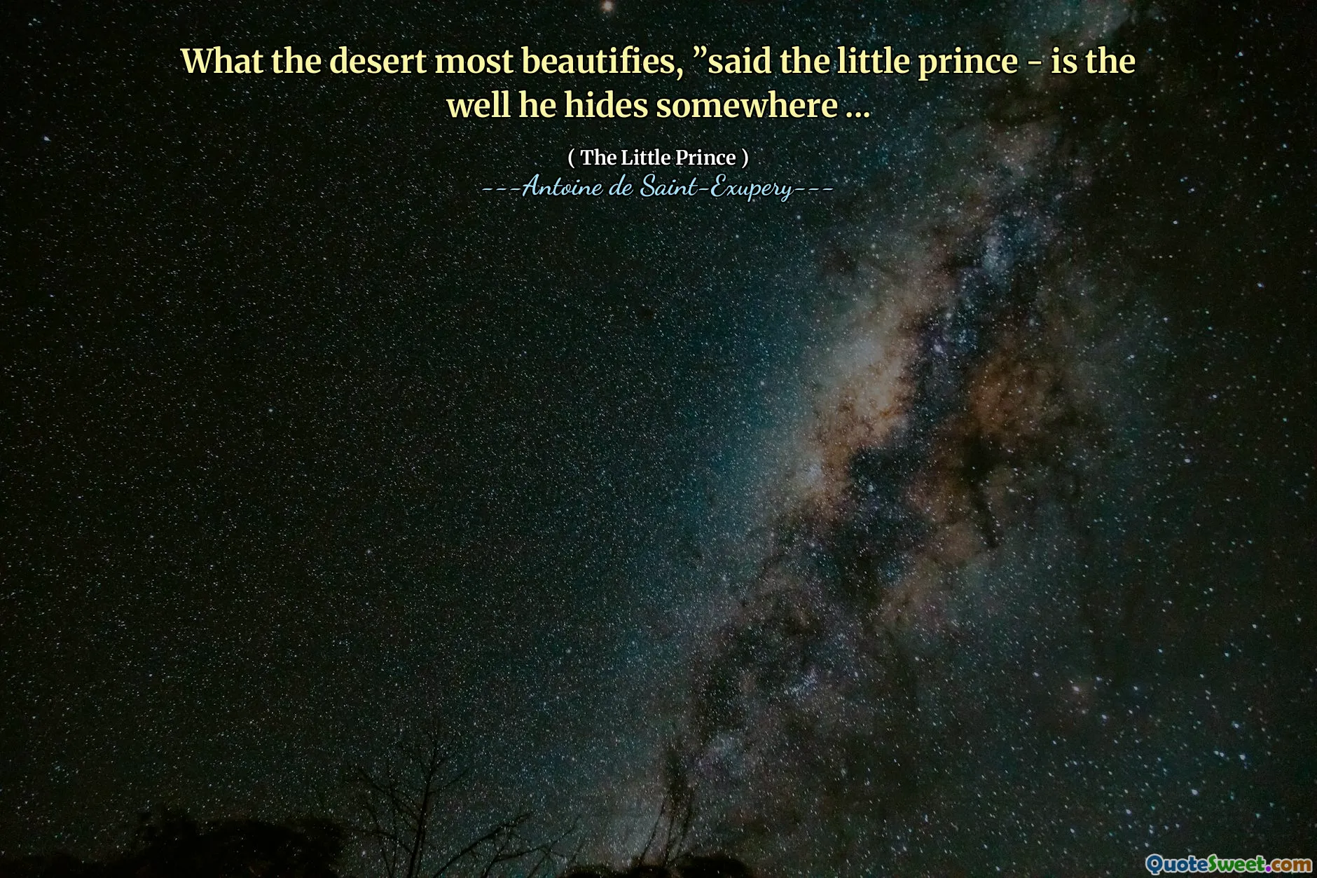 What the desert most beautifies, ”said the little prince - is the well he hides somewhere ...