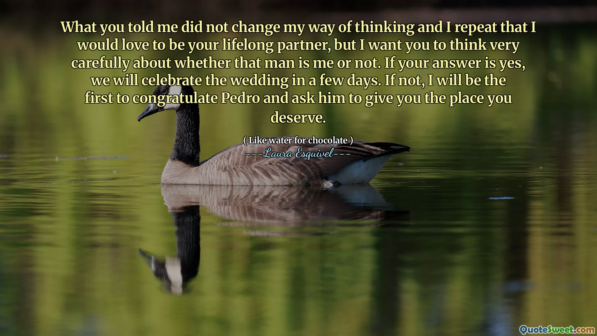 What you told me did not change my way of thinking and I repeat that I would love to be your lifelong partner, but I want you to think very carefully about whether that man is me or not. If your answer is yes, we will celebrate the wedding in a few days. If not, I will be the first to congratulate Pedro and ask him to give you the place you deserve.