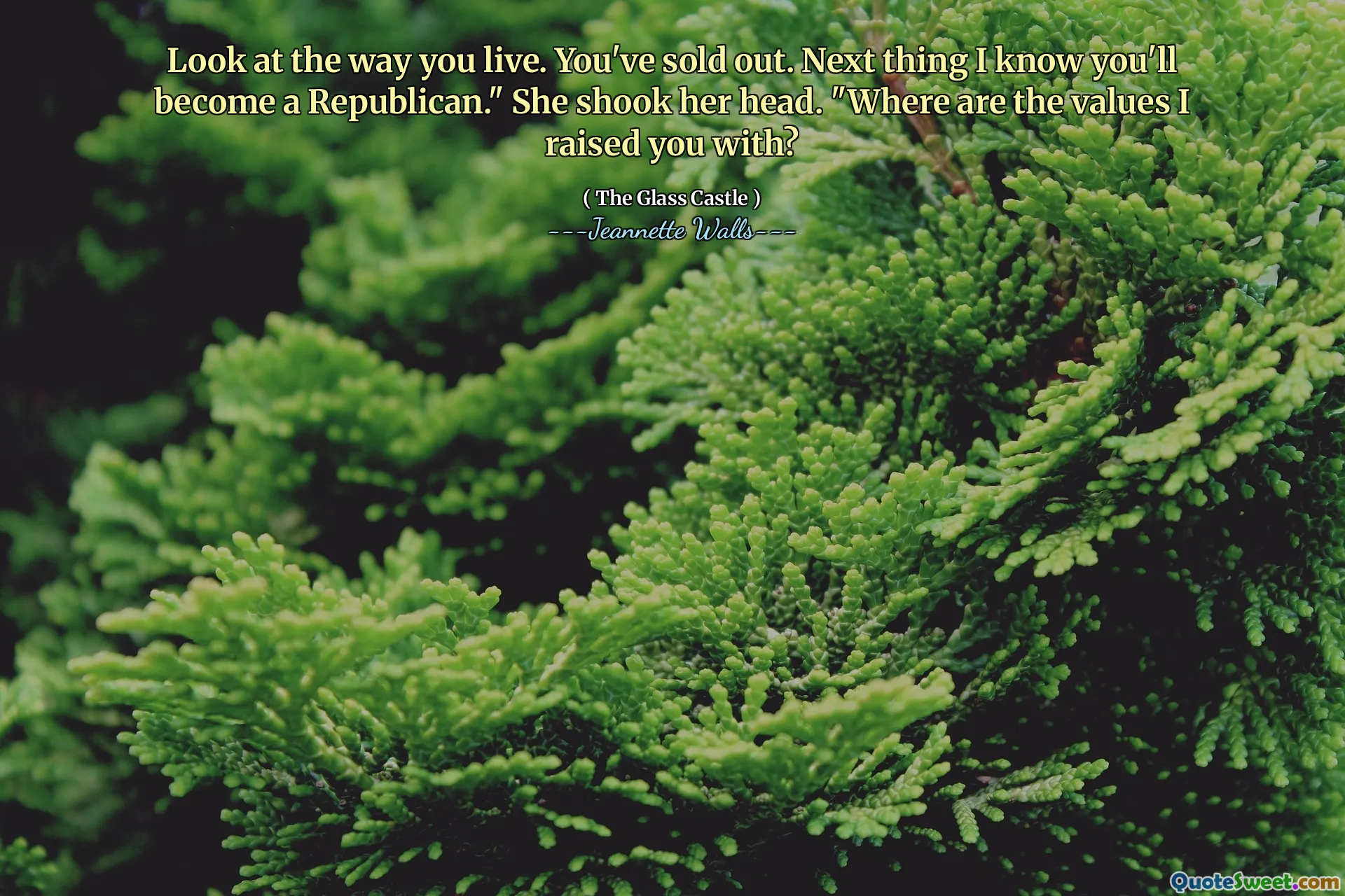 Titta på hur du lever. Du har slut. Nästa sak jag vet att du kommer att bli republikan. "Hon skakade på huvudet." Var är de värden jag höjde dig med?