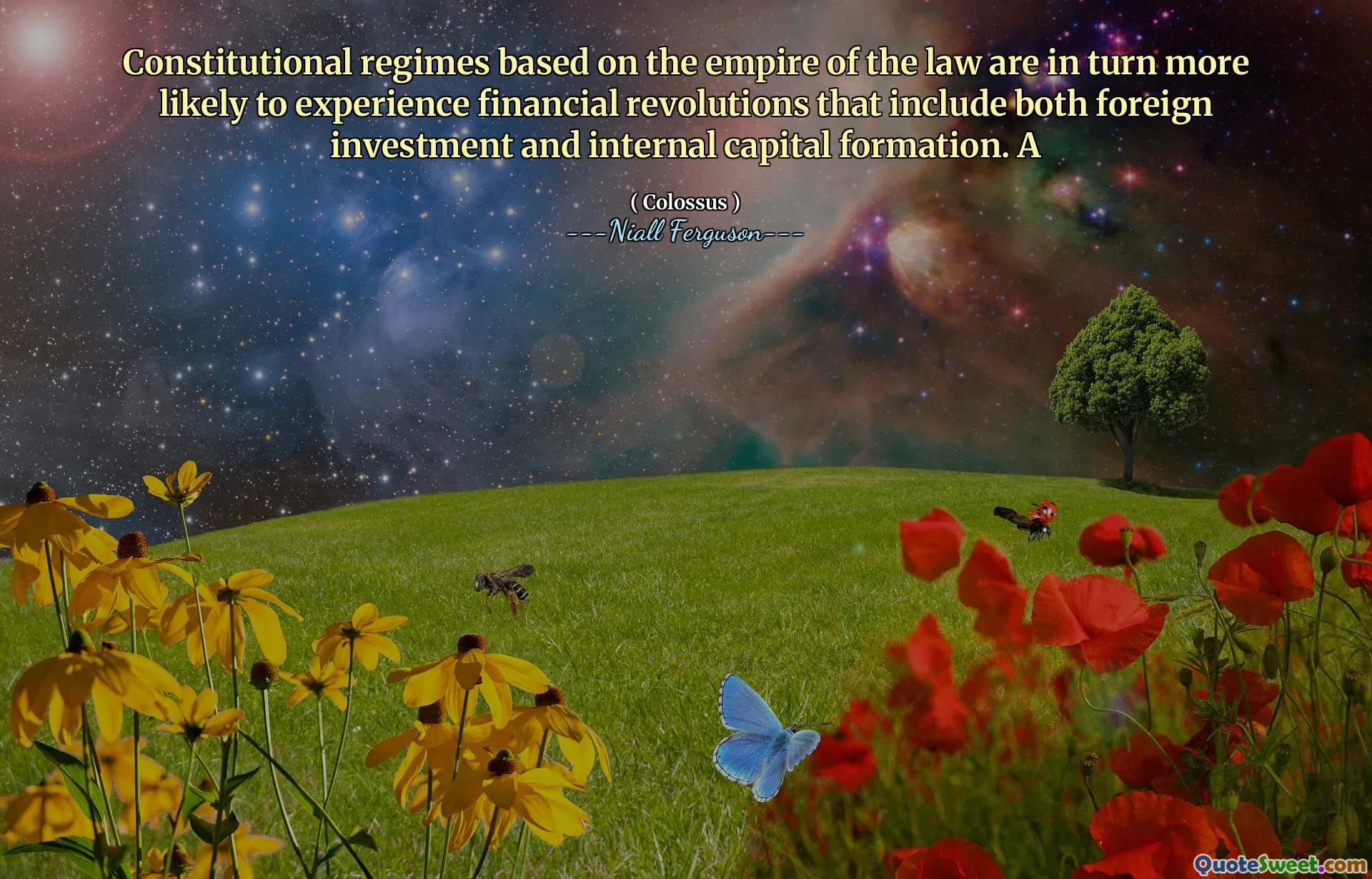 Constitutional regimes based on the empire of the law are in turn more likely to experience financial revolutions that include both foreign investment and internal capital formation. A