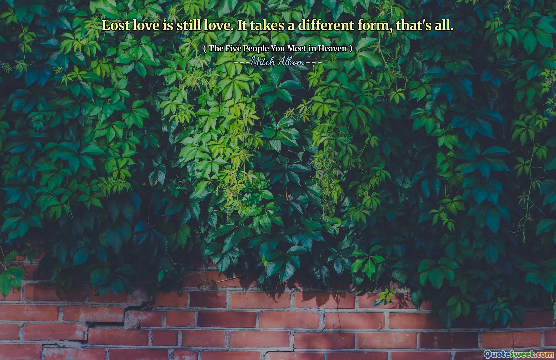 Verloren liefde is nog steeds liefde. Het kost een andere vorm, dat is alles.