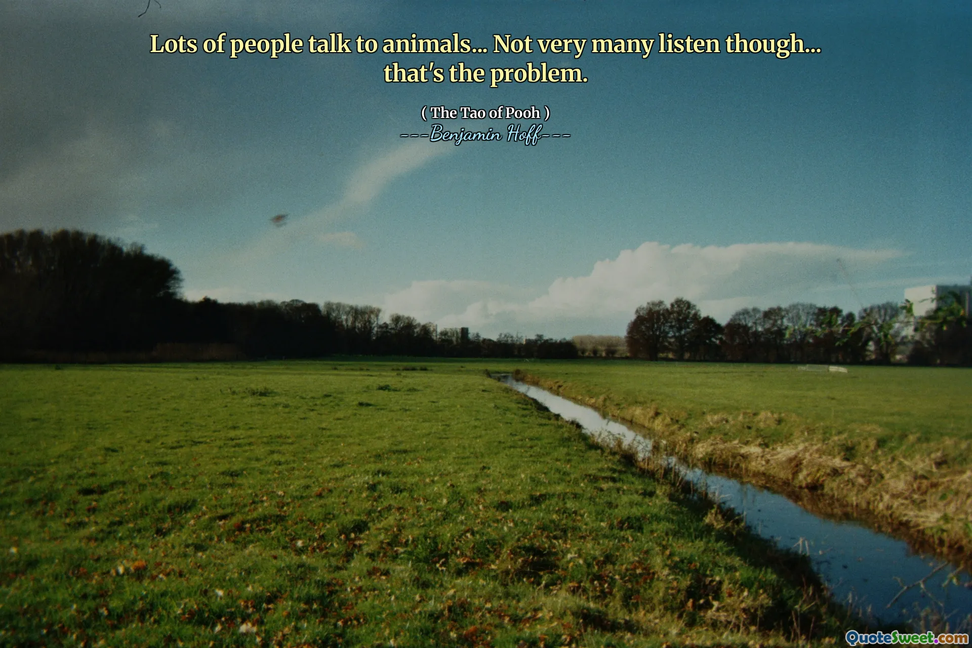 Lots of people talk to animals... Not very many listen though... that's the problem.