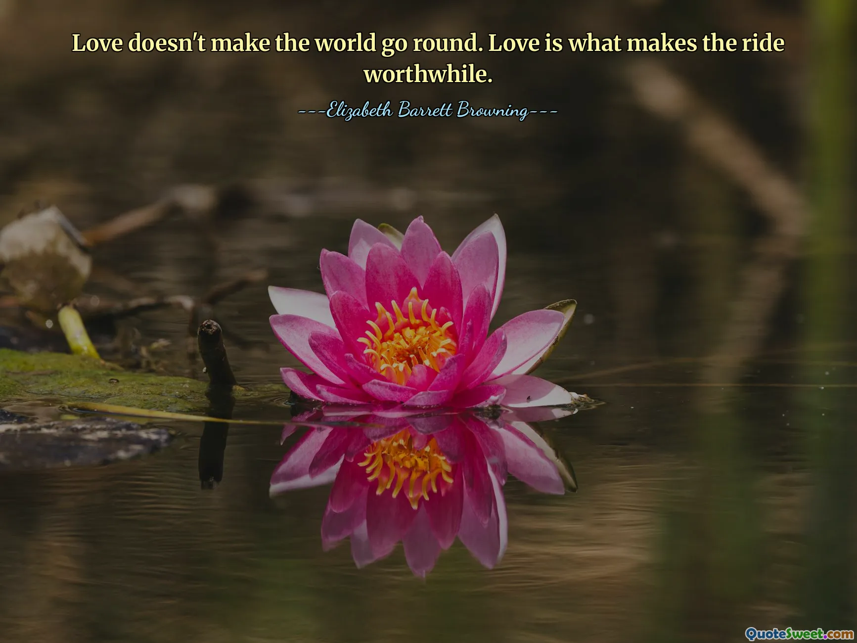 Love doesn't make the world go round. Love is what makes the ride worthwhile.