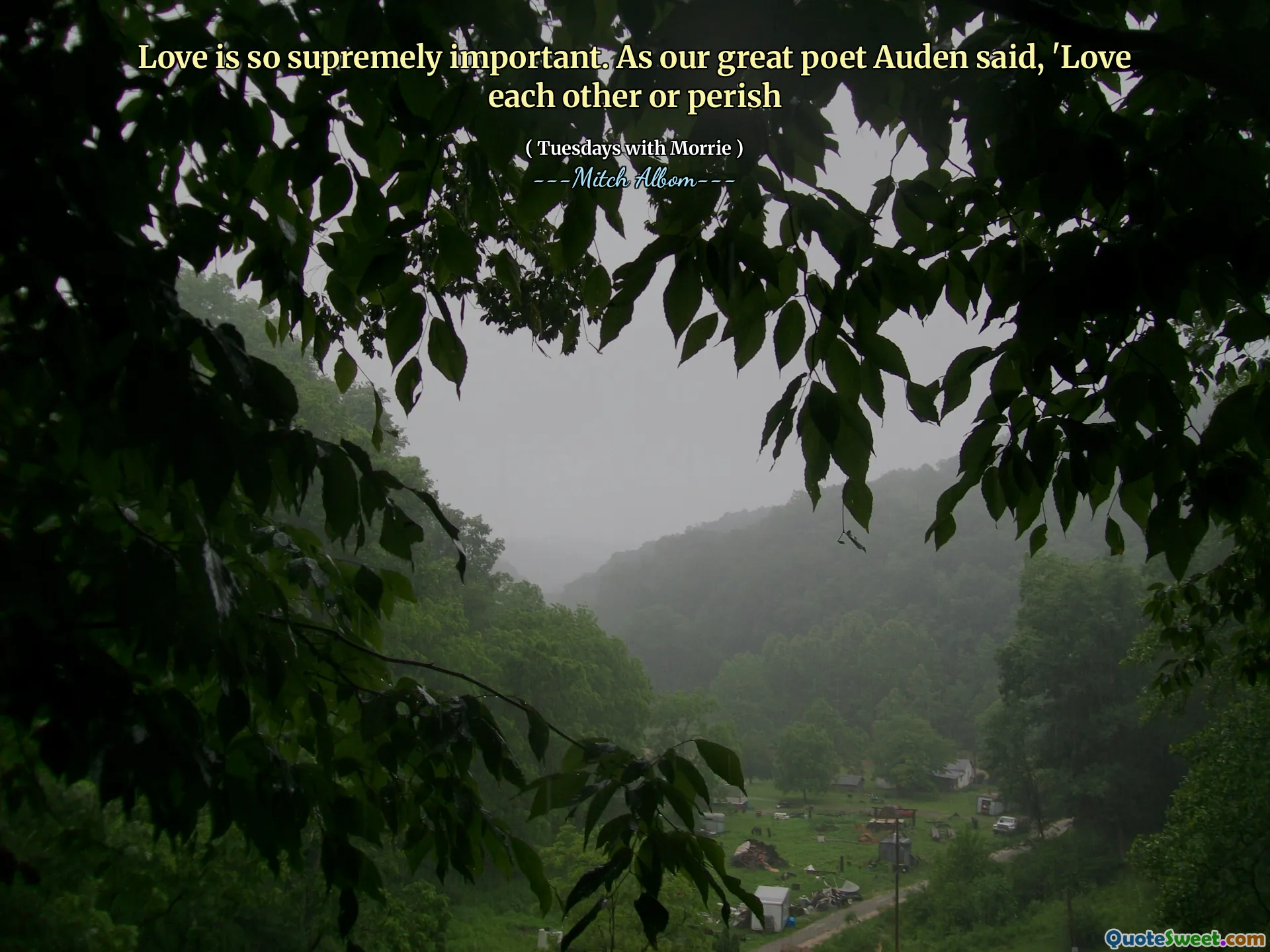爱非常重要。正如我们伟大的诗人奥登所说：“彼此相爱或灭亡