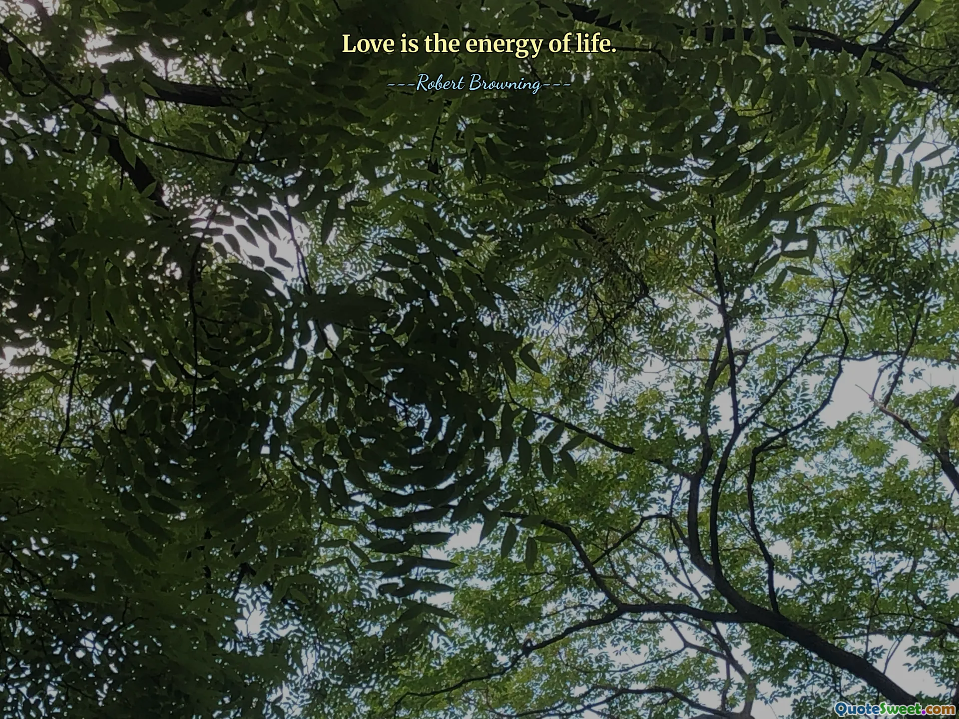 Love is the energy of life.