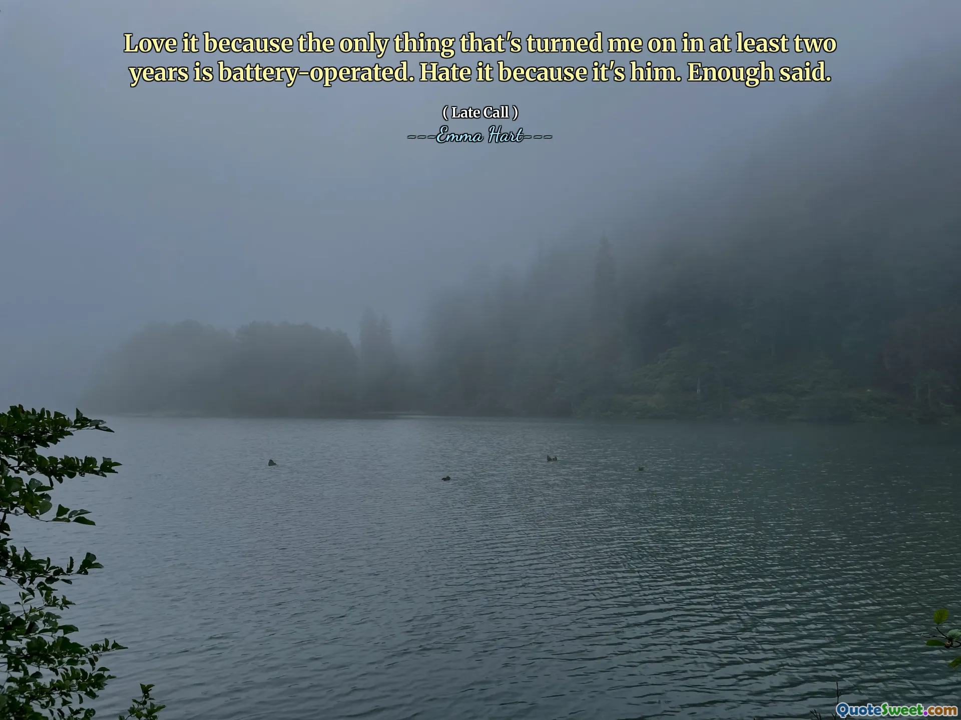 Älskar det eftersom det enda som har tänt mig på minst två år är batteridriven. Hatar det för att det är honom. Tillräckligt sagt.