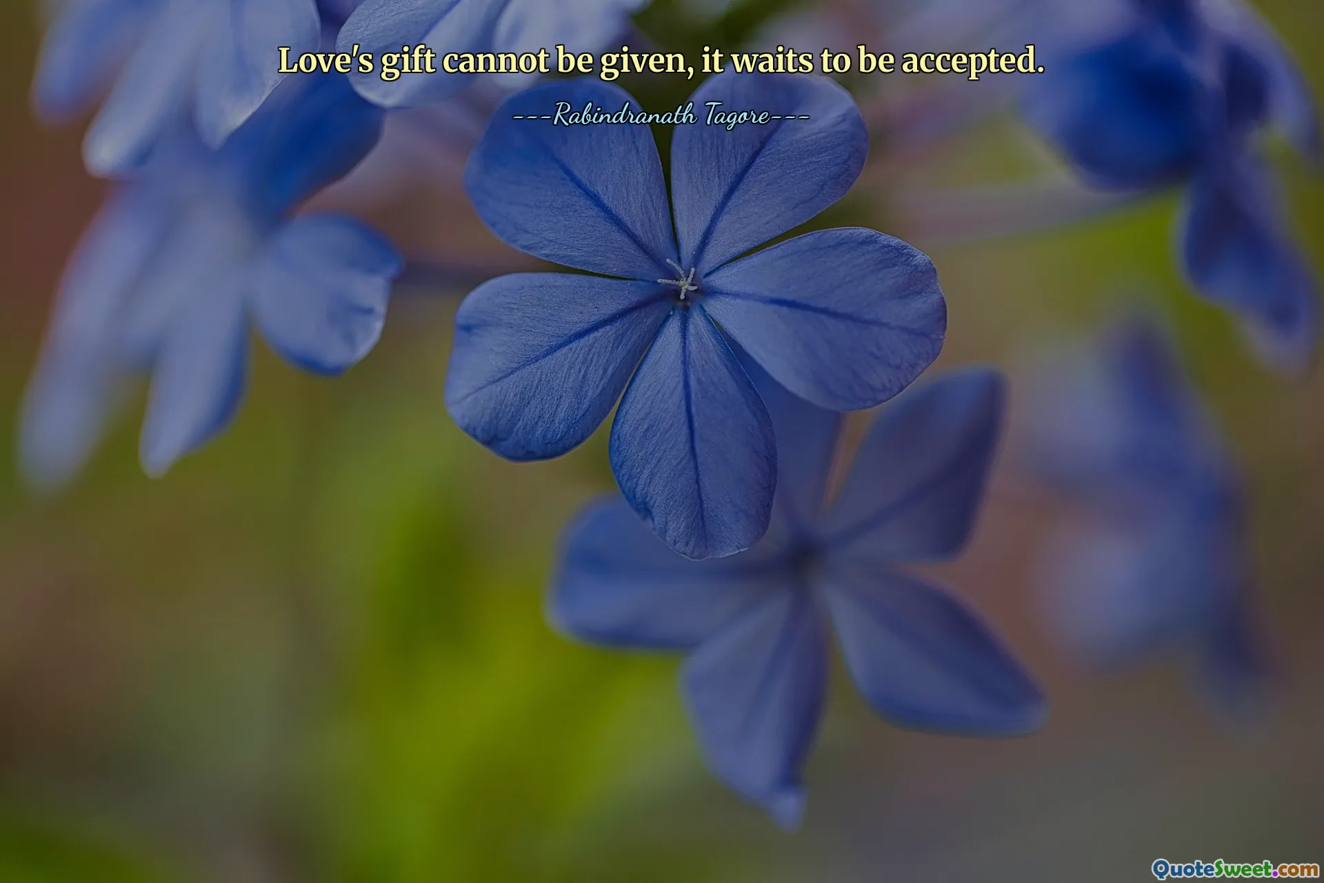 Love's gift cannot be given, it waits to be accepted.