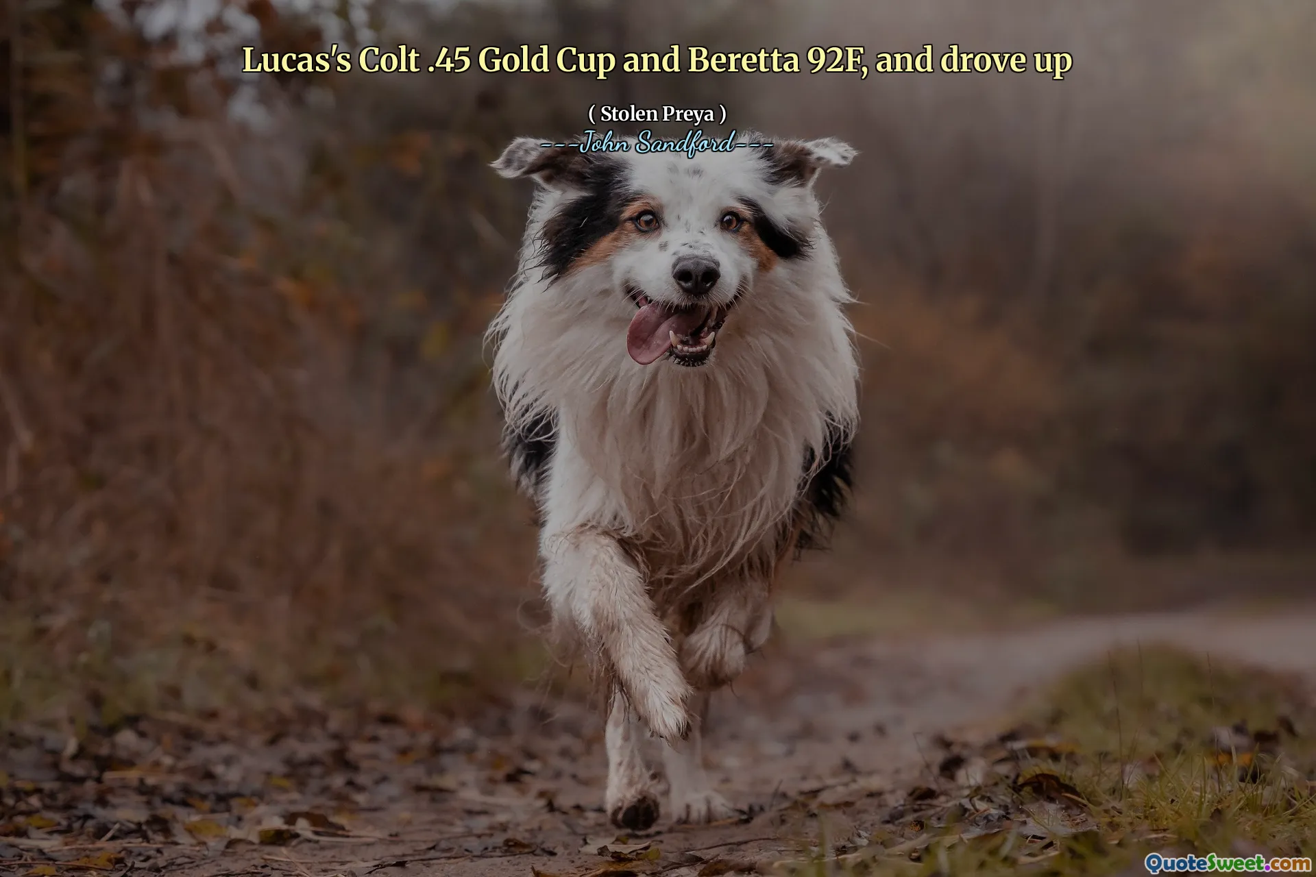 Colt .45 Gold Cup de Lucas e Beretta 92F, e chegou