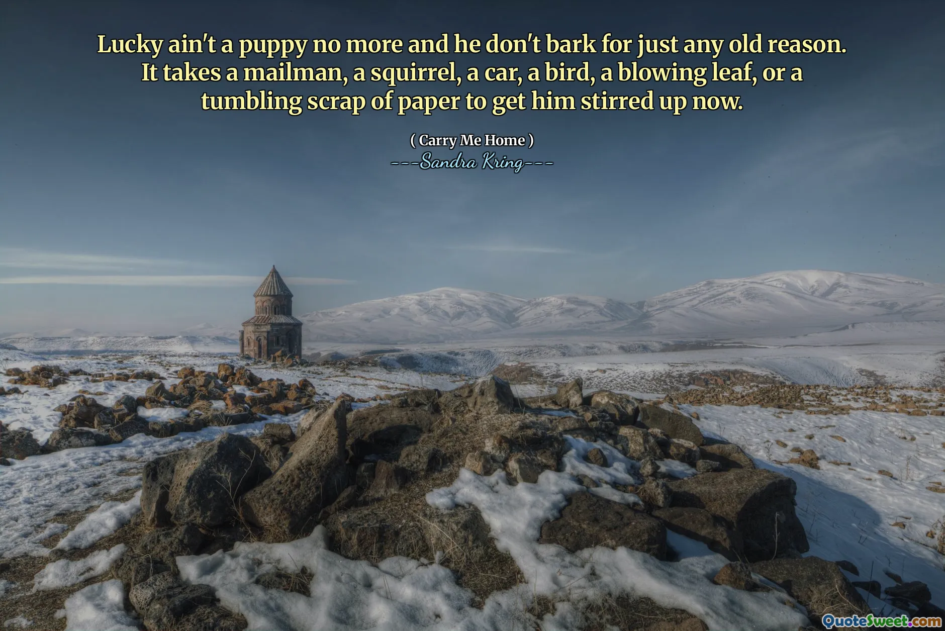 Lucky ain't a puppy no more and he don't bark for just any old reason. It takes a mailman, a squirrel, a car, a bird, a blowing leaf, or a tumbling scrap of paper to get him stirred up now.