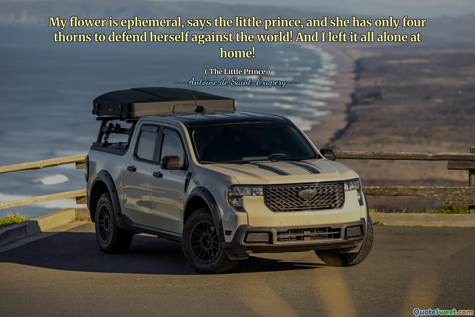 My flower is ephemeral, says the little prince, and she has only four thorns to defend herself against the world! And I left it all alone at home!