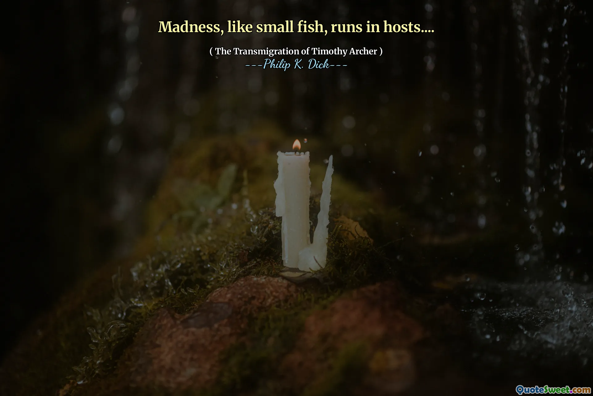 작은 물고기처럼 광기는 호스트에서 달려갑니다 ....