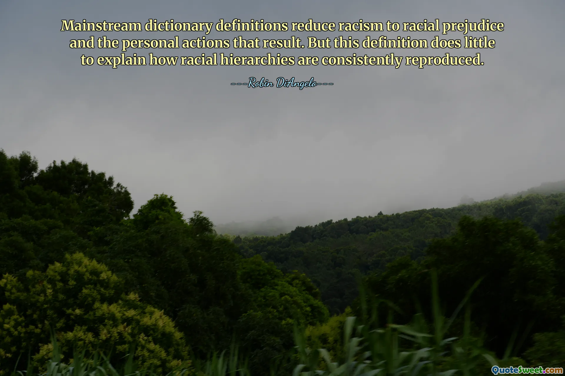Mainstream dictionary definitions reduce racism to racial prejudice and the personal actions that result. But this definition does little to explain how racial hierarchies are consistently reproduced.